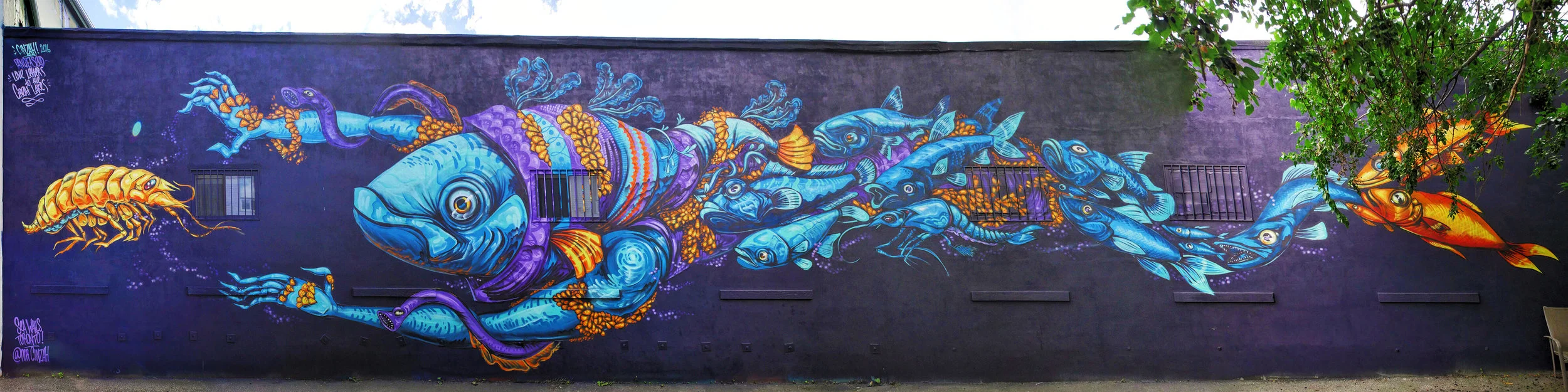 Cinzah (New Zealand)