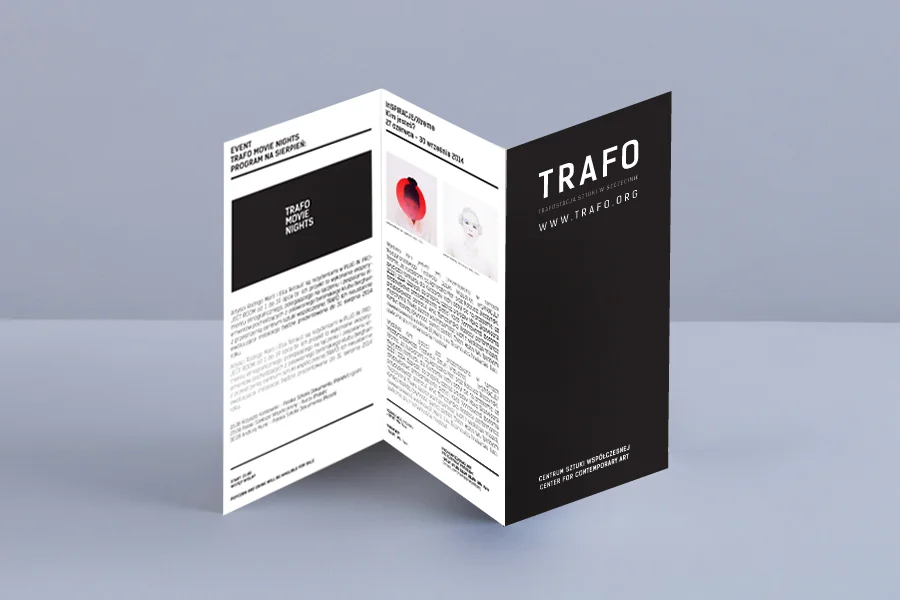 pamphlet simulation.jpg