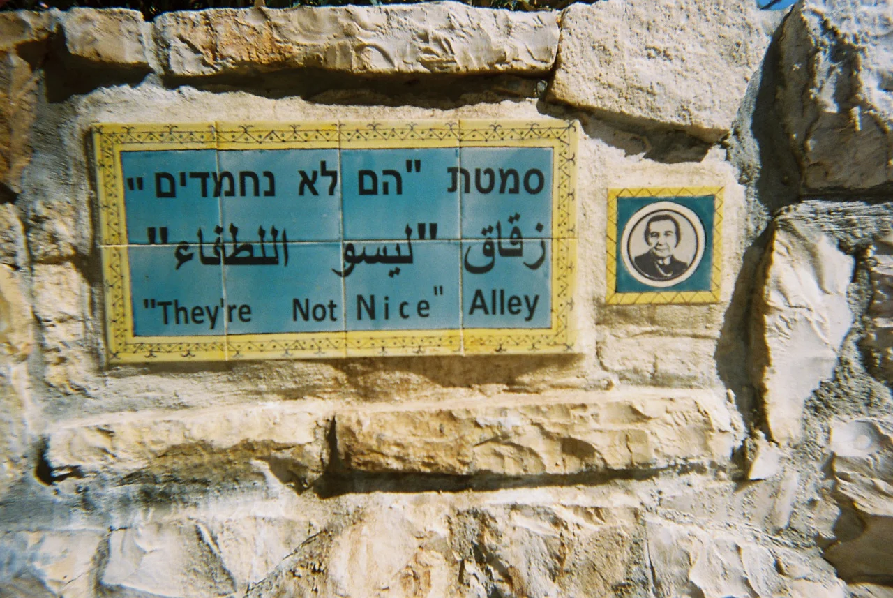 tumblr_mo57vyZycA1surtfho1_1280.jpg