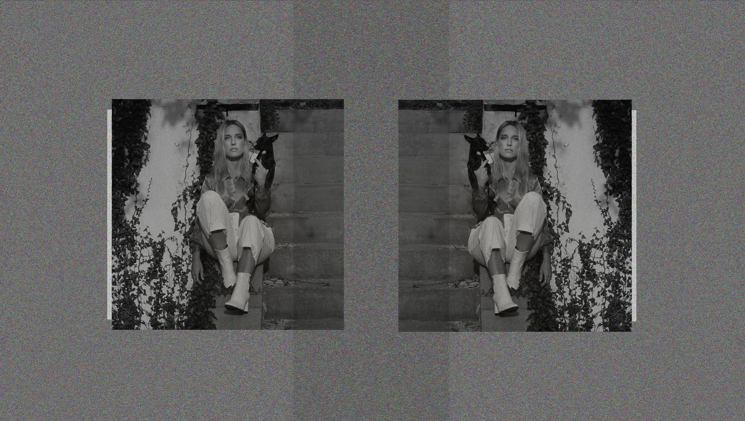 double+dog.jpg
