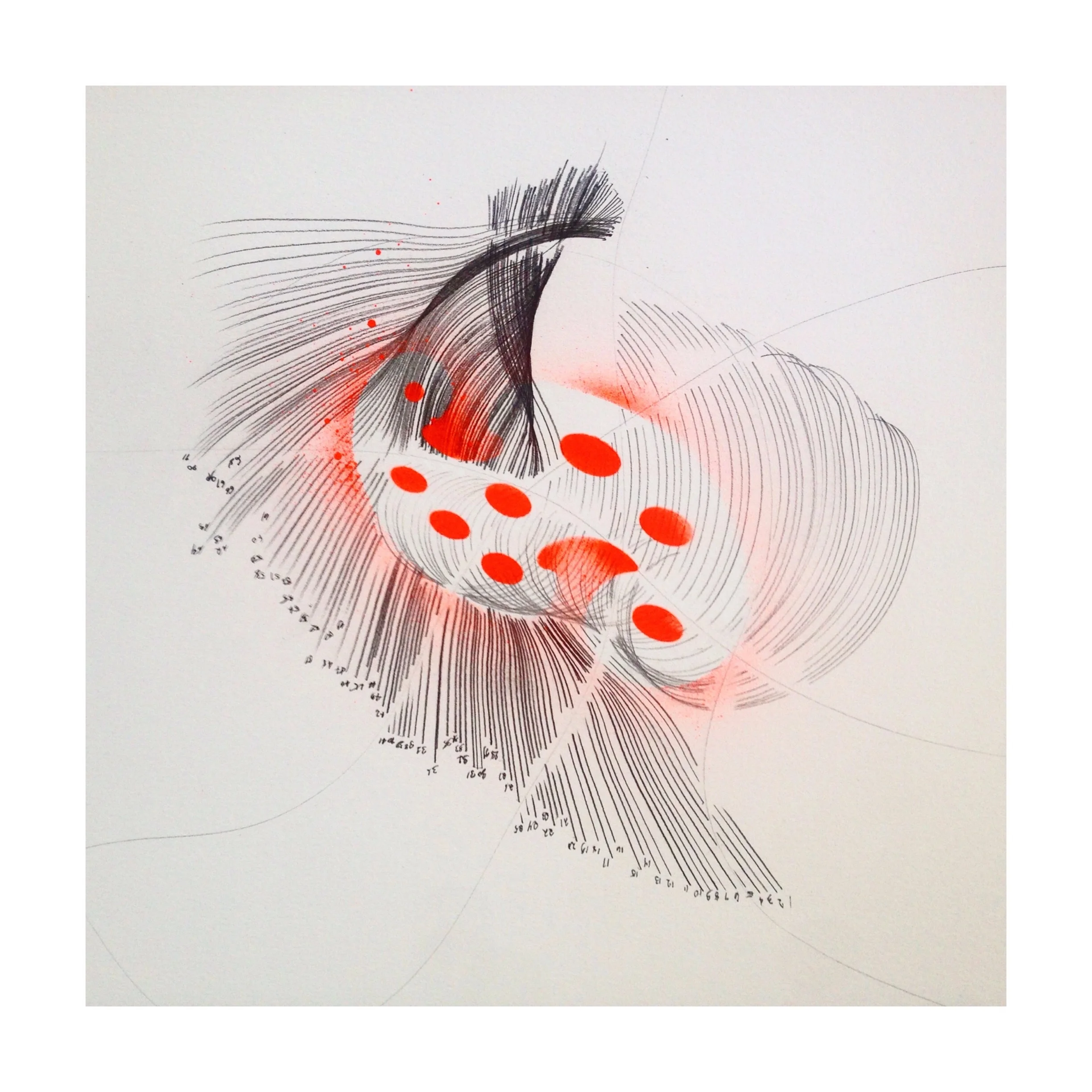 'RAPTORS VICTORY/ Soundscapes series' (2019)