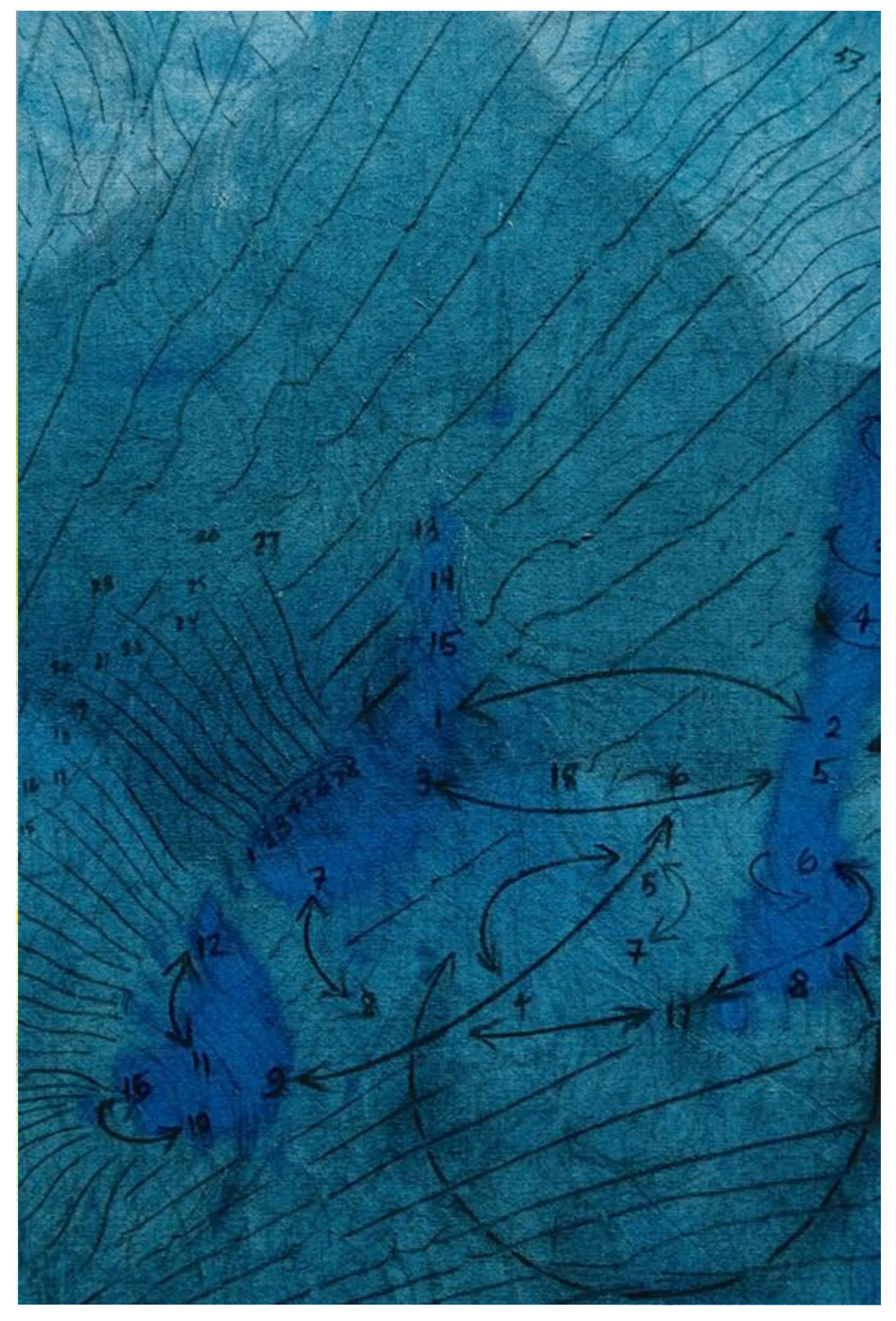 !!!Justyna Werbel 1  (2024).jpg