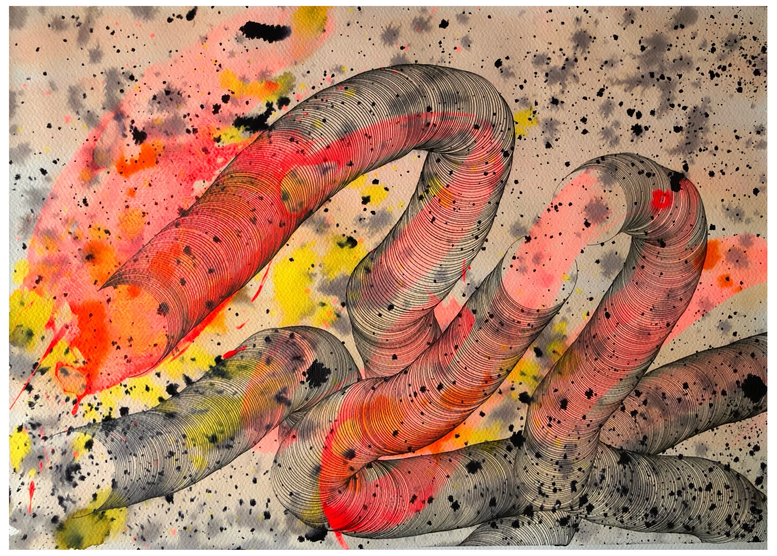 !!!Justyna Werbel 7  (2024).jpg