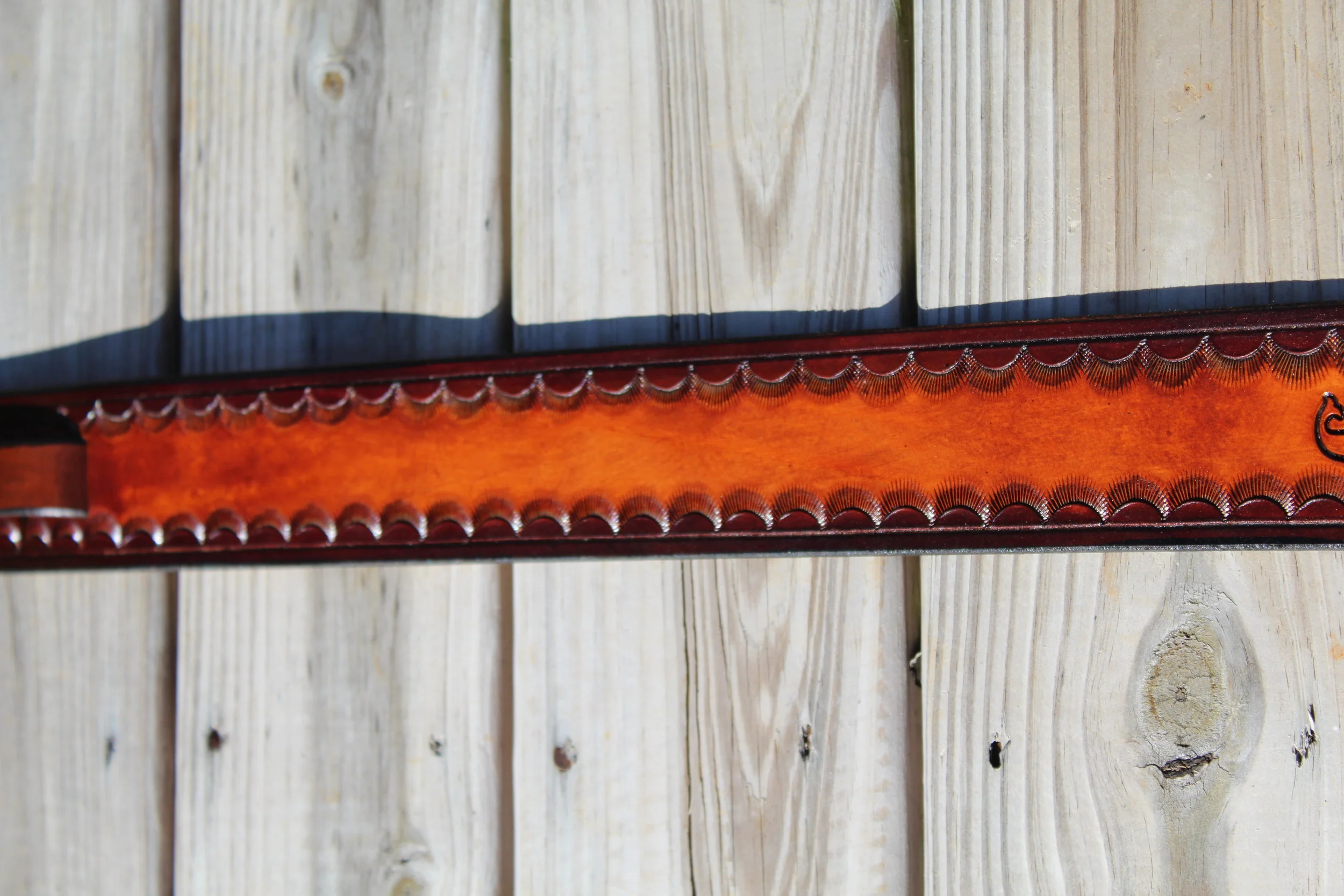 GS Sunburst 4.JPG