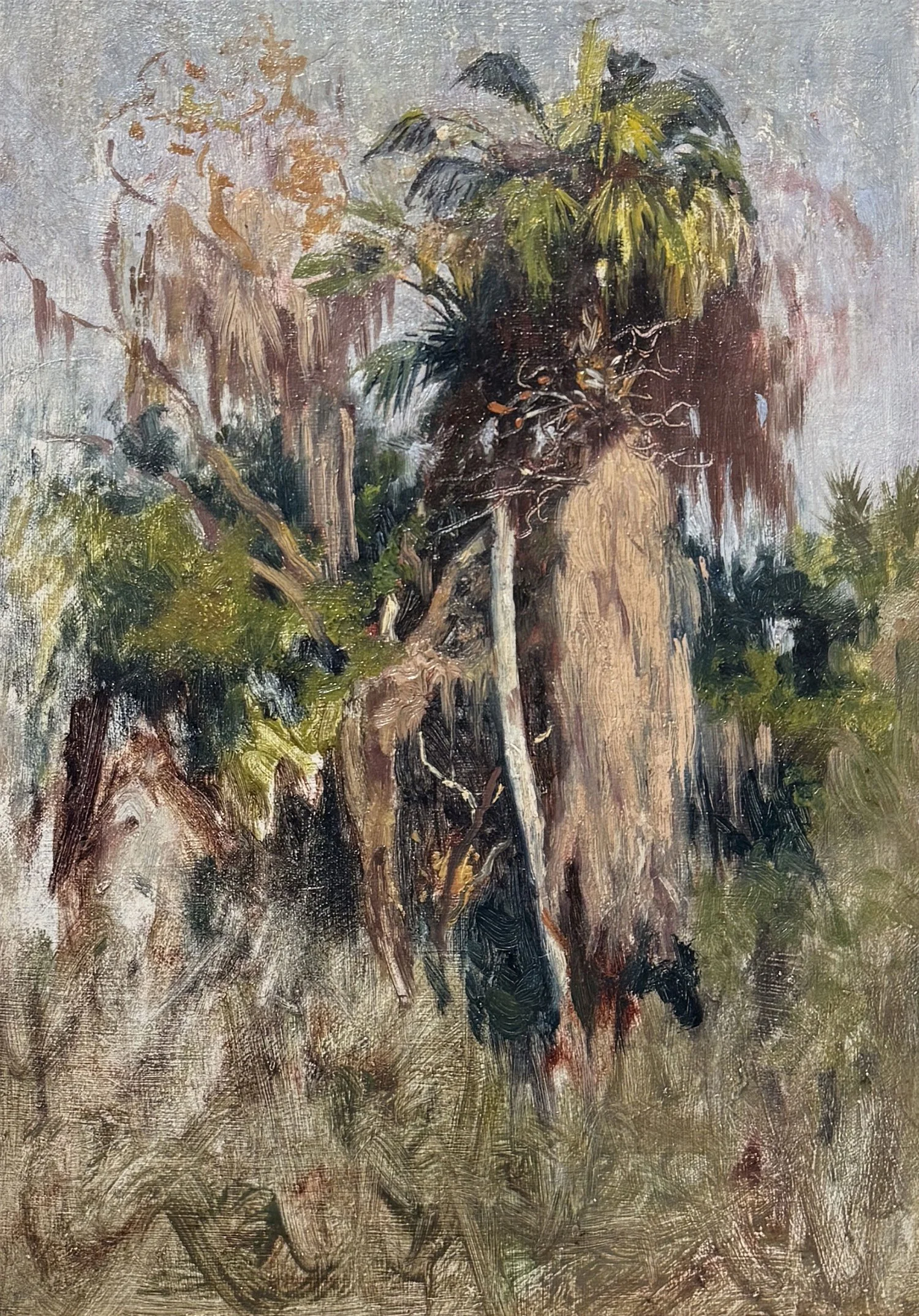 Lord Edwin Weeks | Florida Everglades