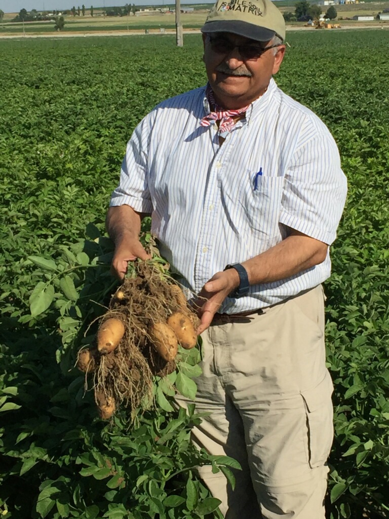 SM-10 Potato Trials 1.jpg