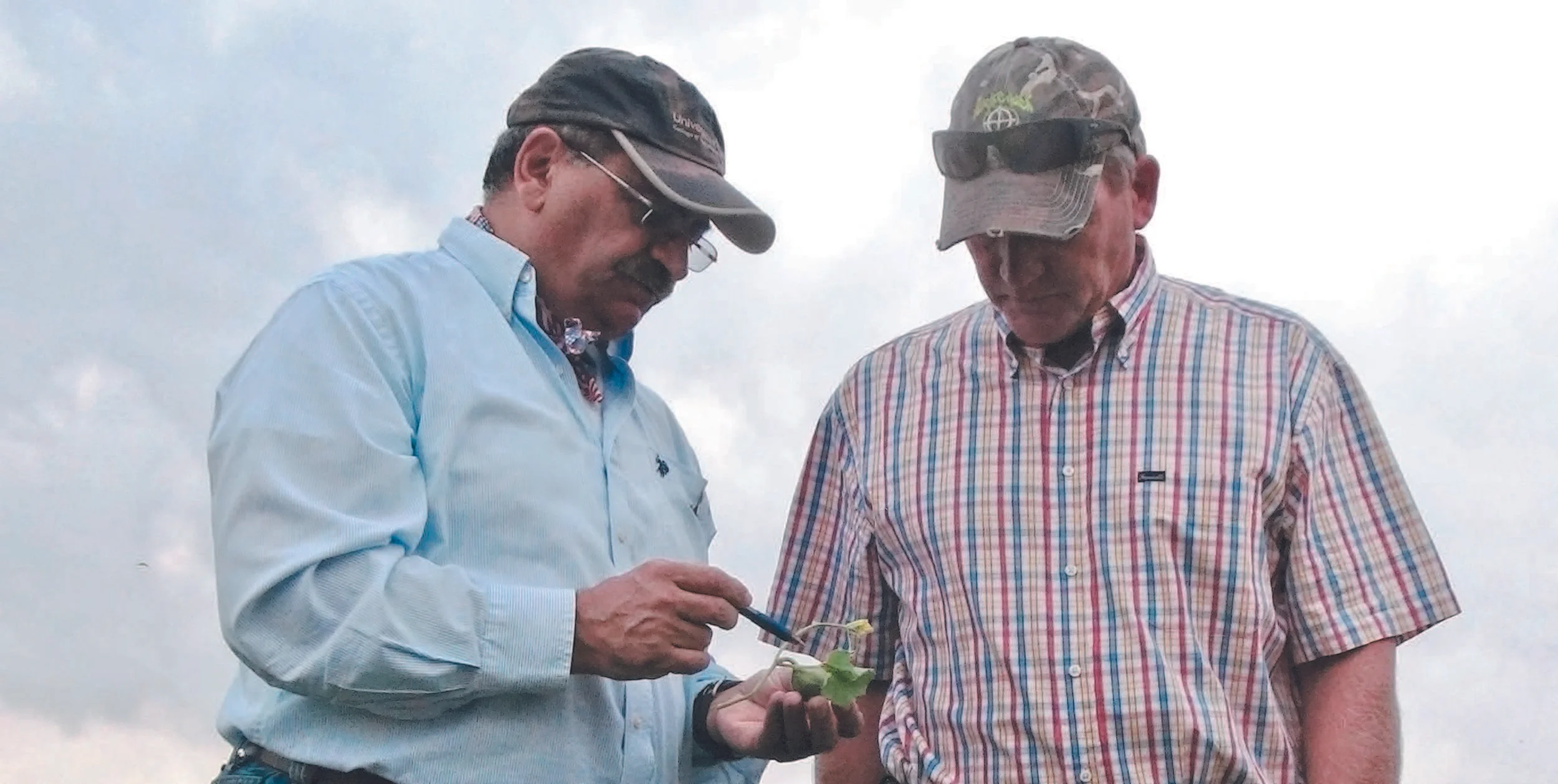 Dr. Mir Consulting in Field.jpg