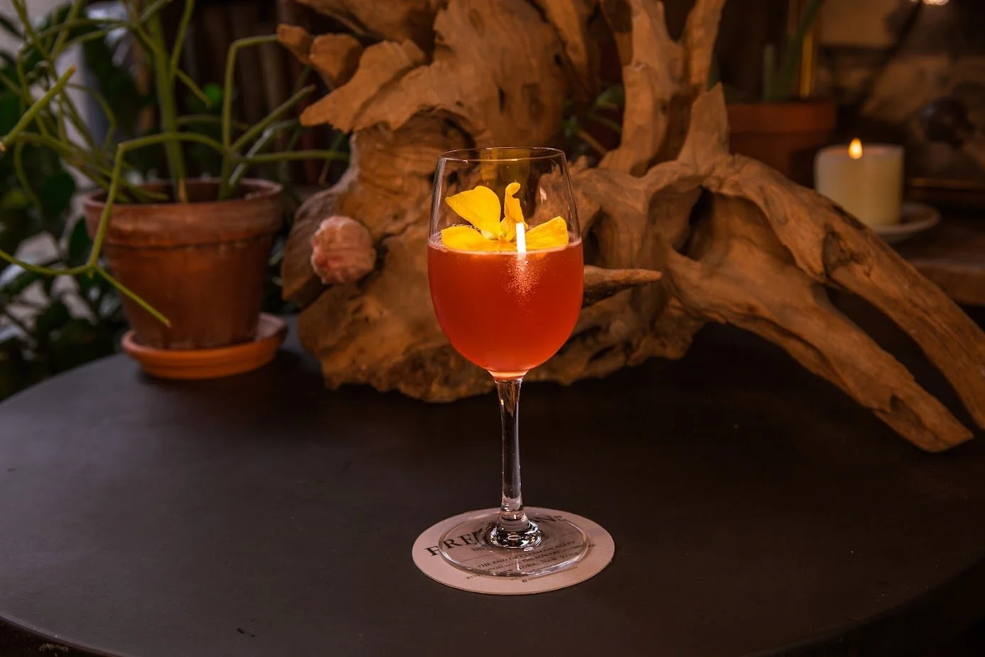 Agua de Vida Cocktail