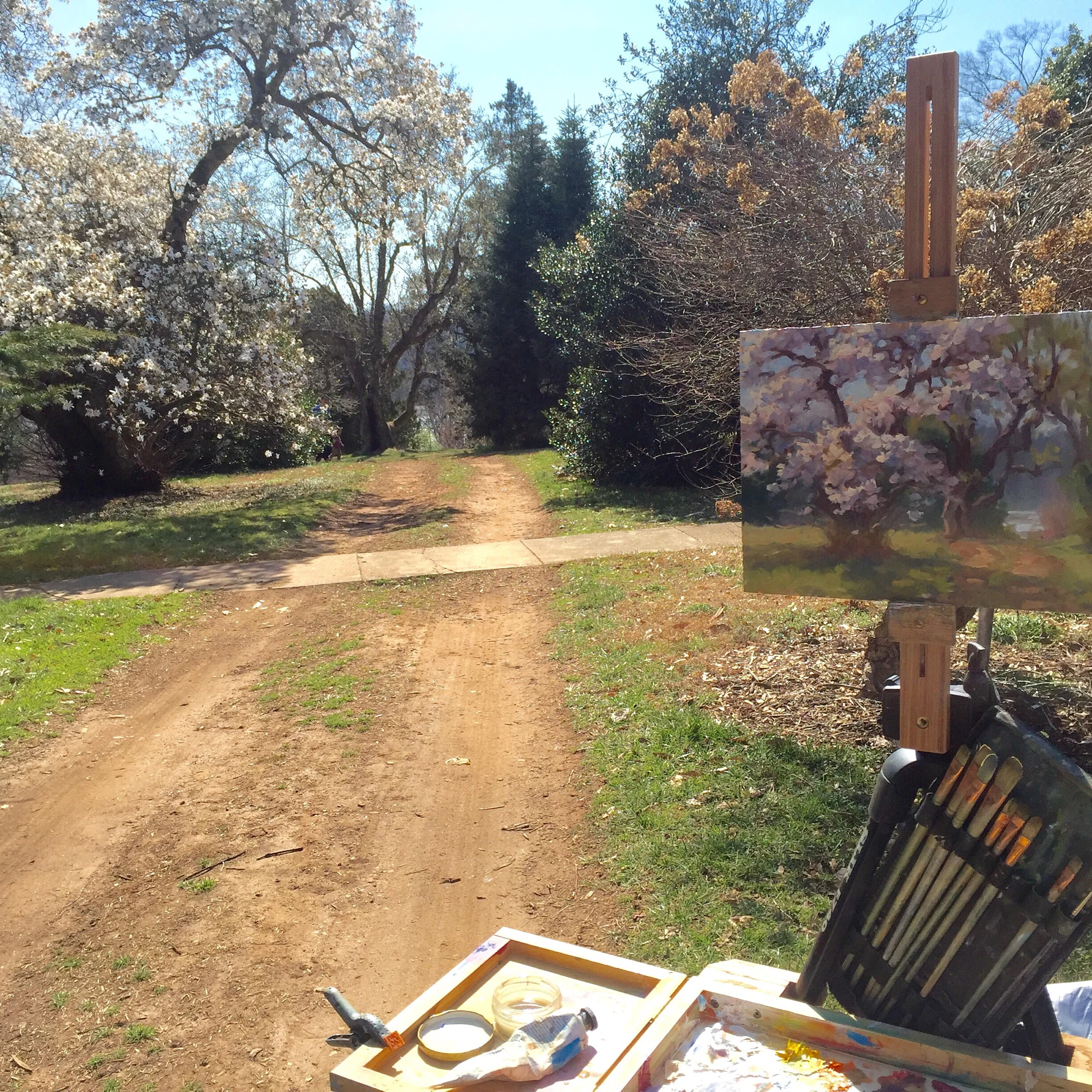 My plein air painting in process