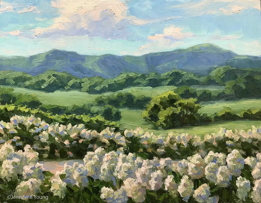 hydrangeas_pippinhill2c.jpg
