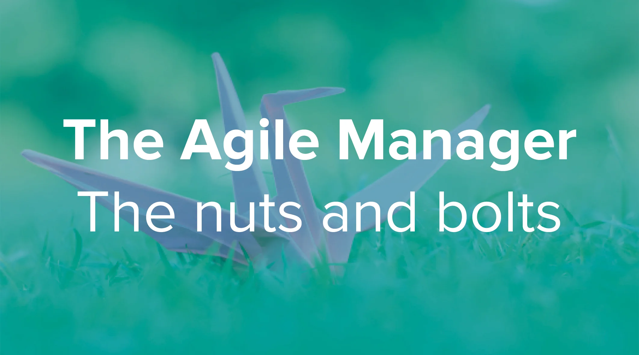 Agile Manager.jpg