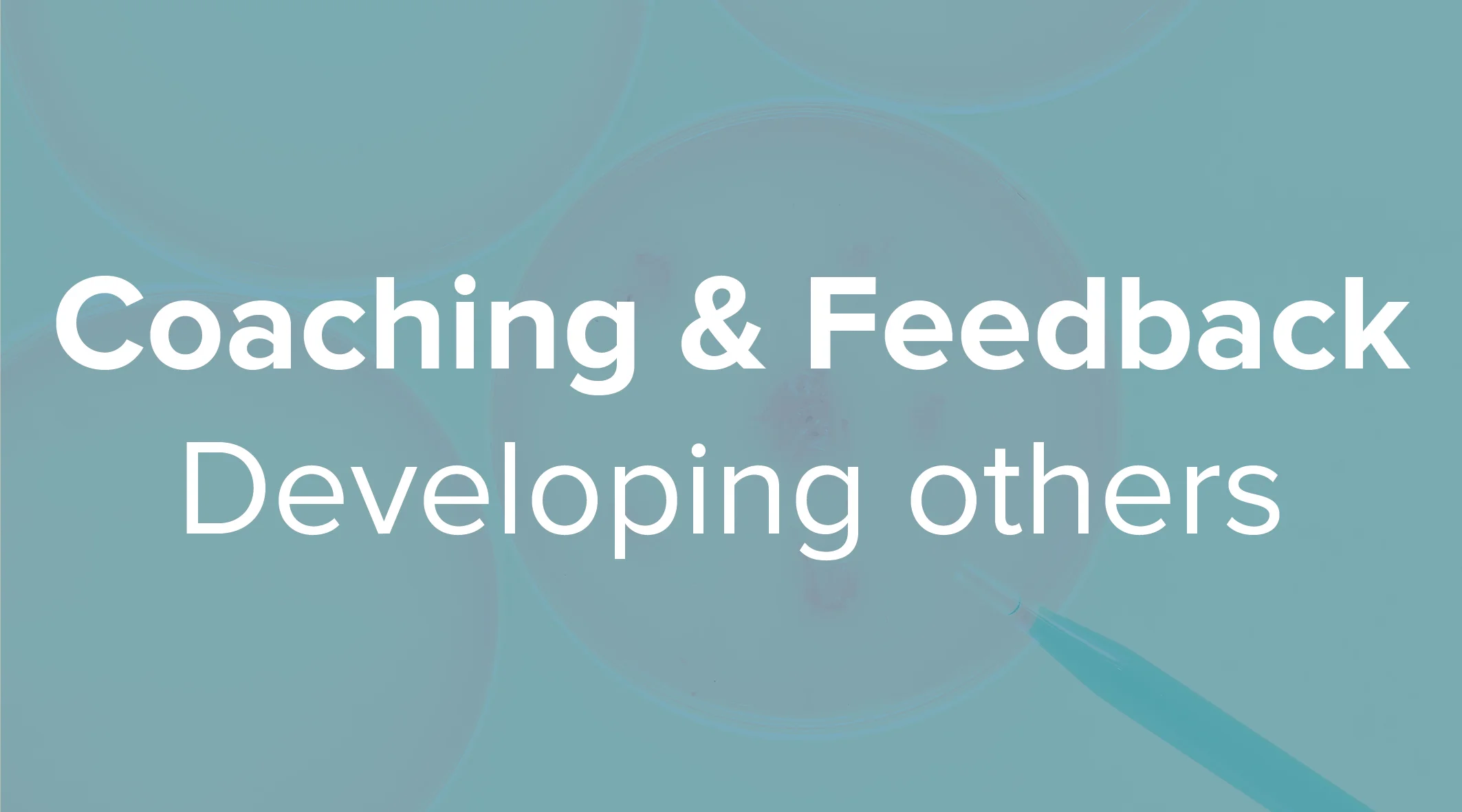 Coaching & Feedback.jpg