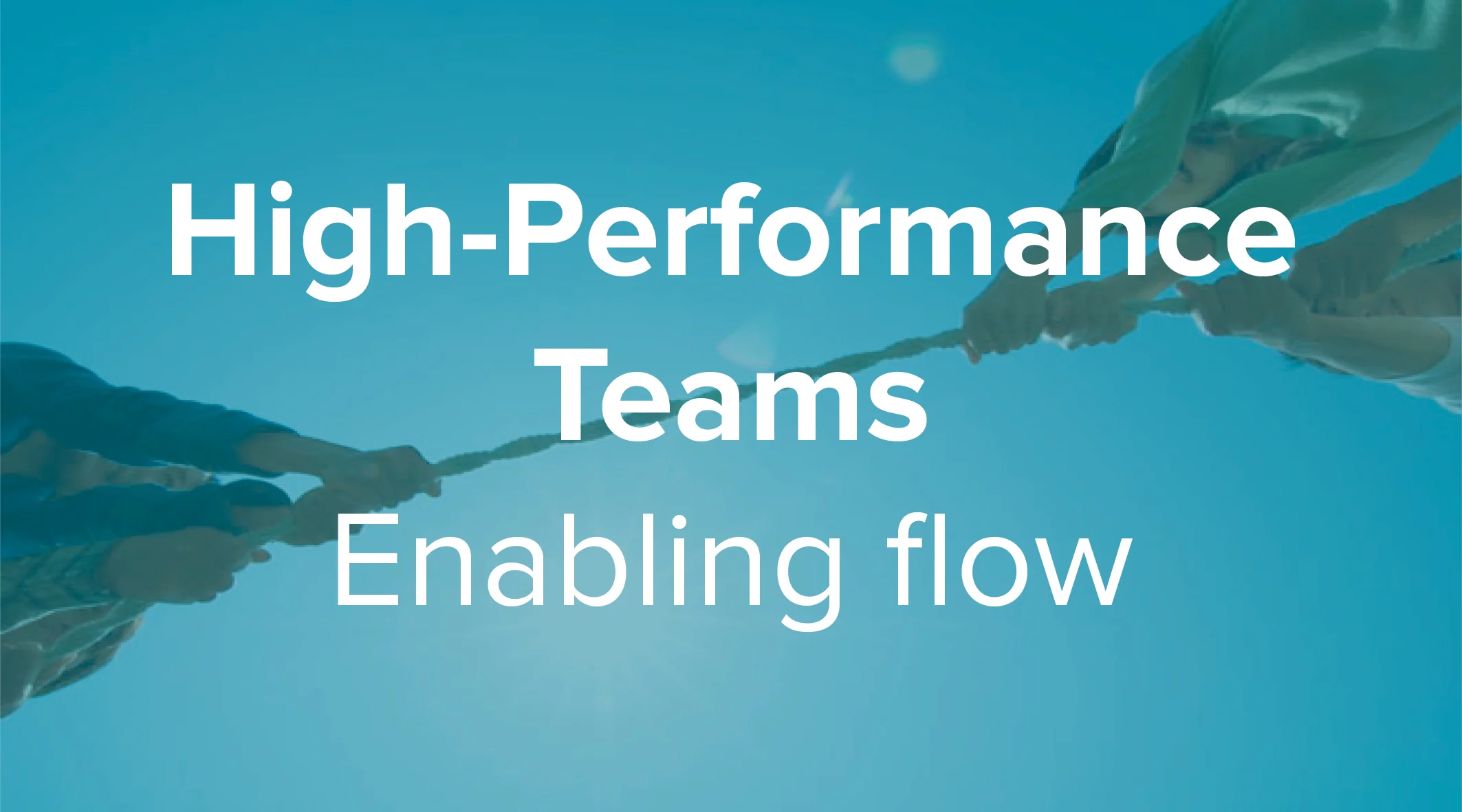 High Performance Teams.jpg