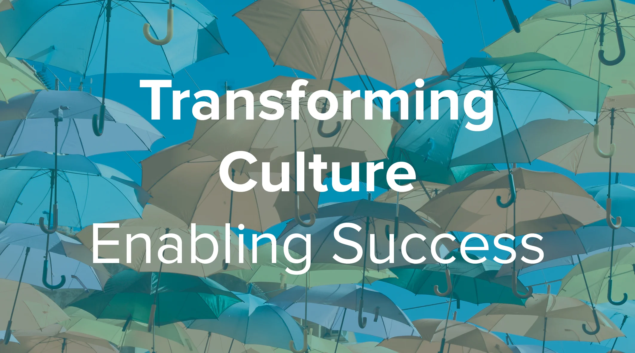 Transforming Culture.jpg