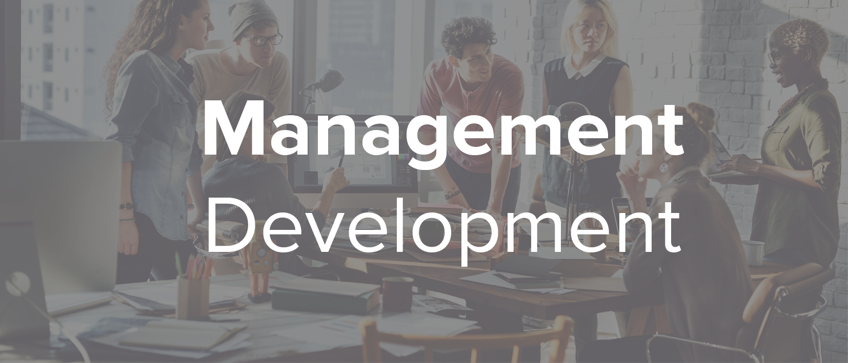 We help managers to build skills and weave together the processes and the humanity of great management, to create high-performing organisations.