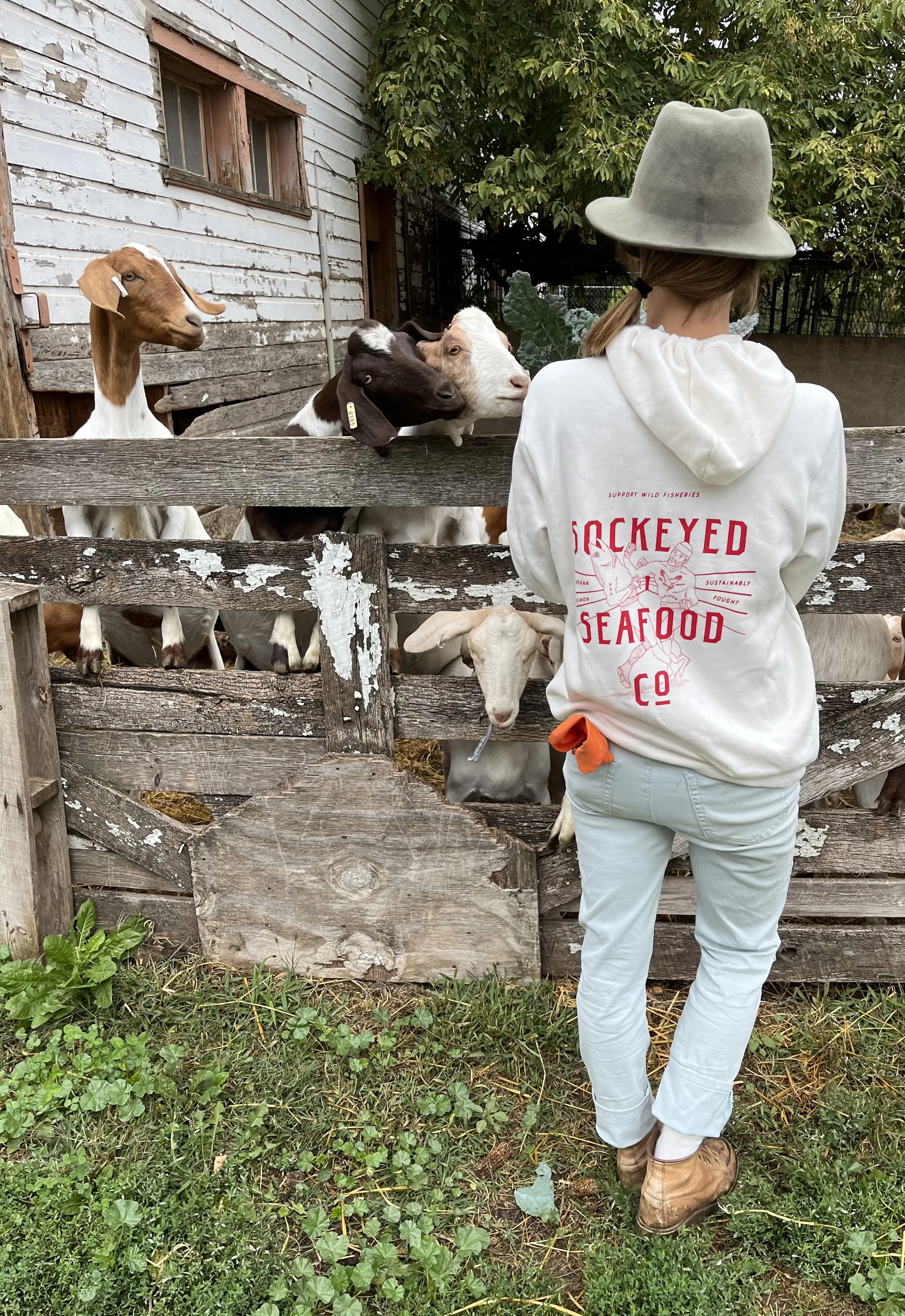 SUSTAINABLY FOUGHT HOODIE 