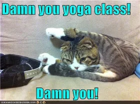 Yoga: Layman's Terms