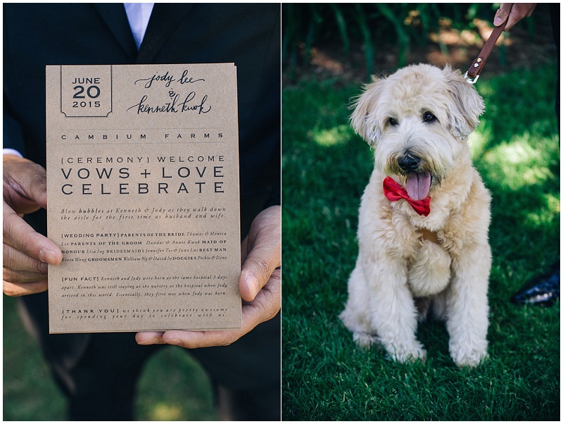 Ontario Farm Wedding | Mimmo & Co. | Joy Wed blog http://www.joy-wed.com