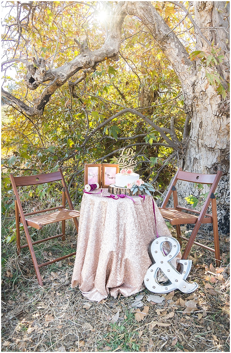 Newlywed Session | Peterson Design & Photography | Joy Wed blog | http://www.joy-wed.com