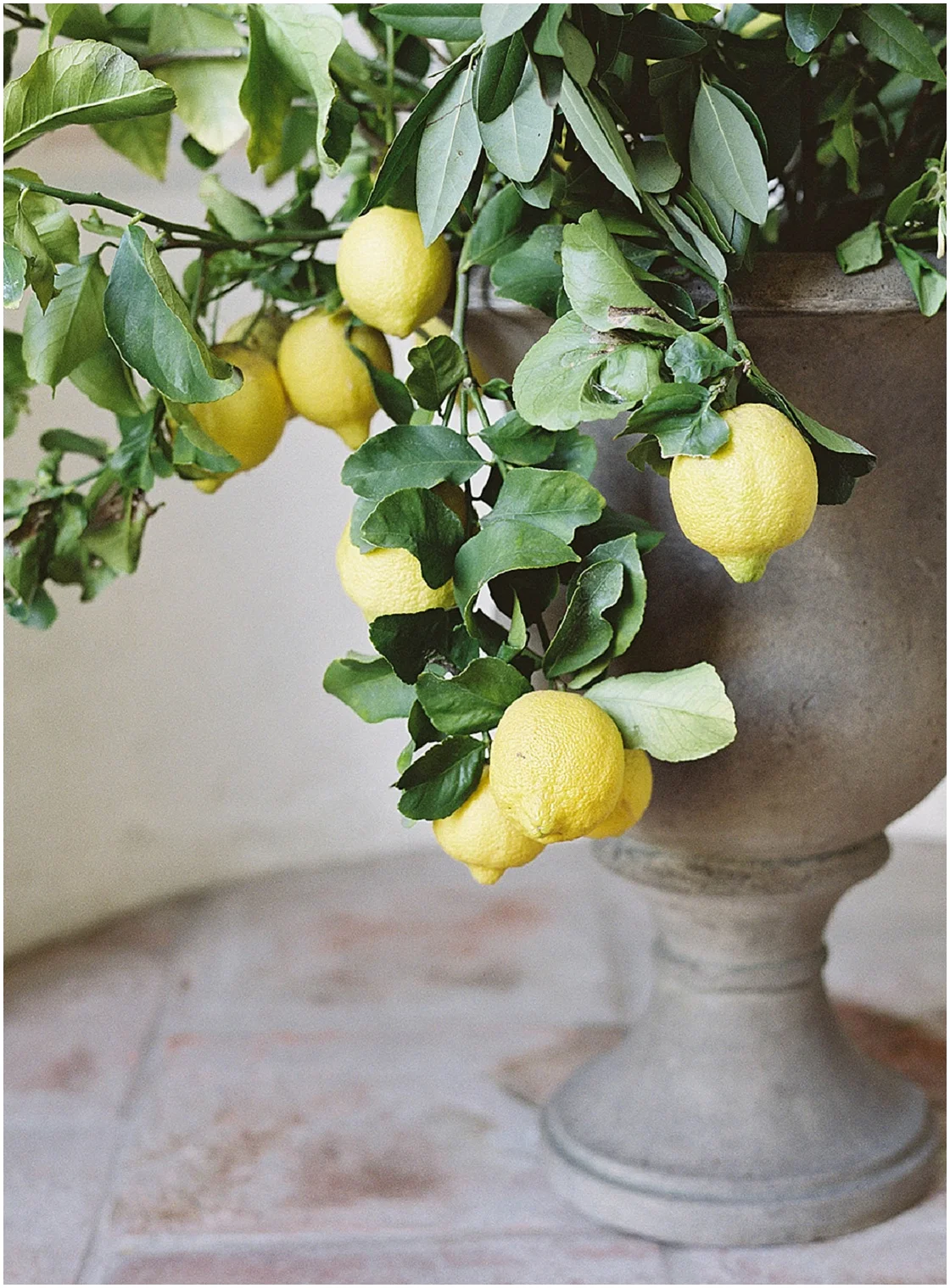 European Wedding Inspiration | Sara Weir | Joy Wed blog | http://www.joy-wed.com