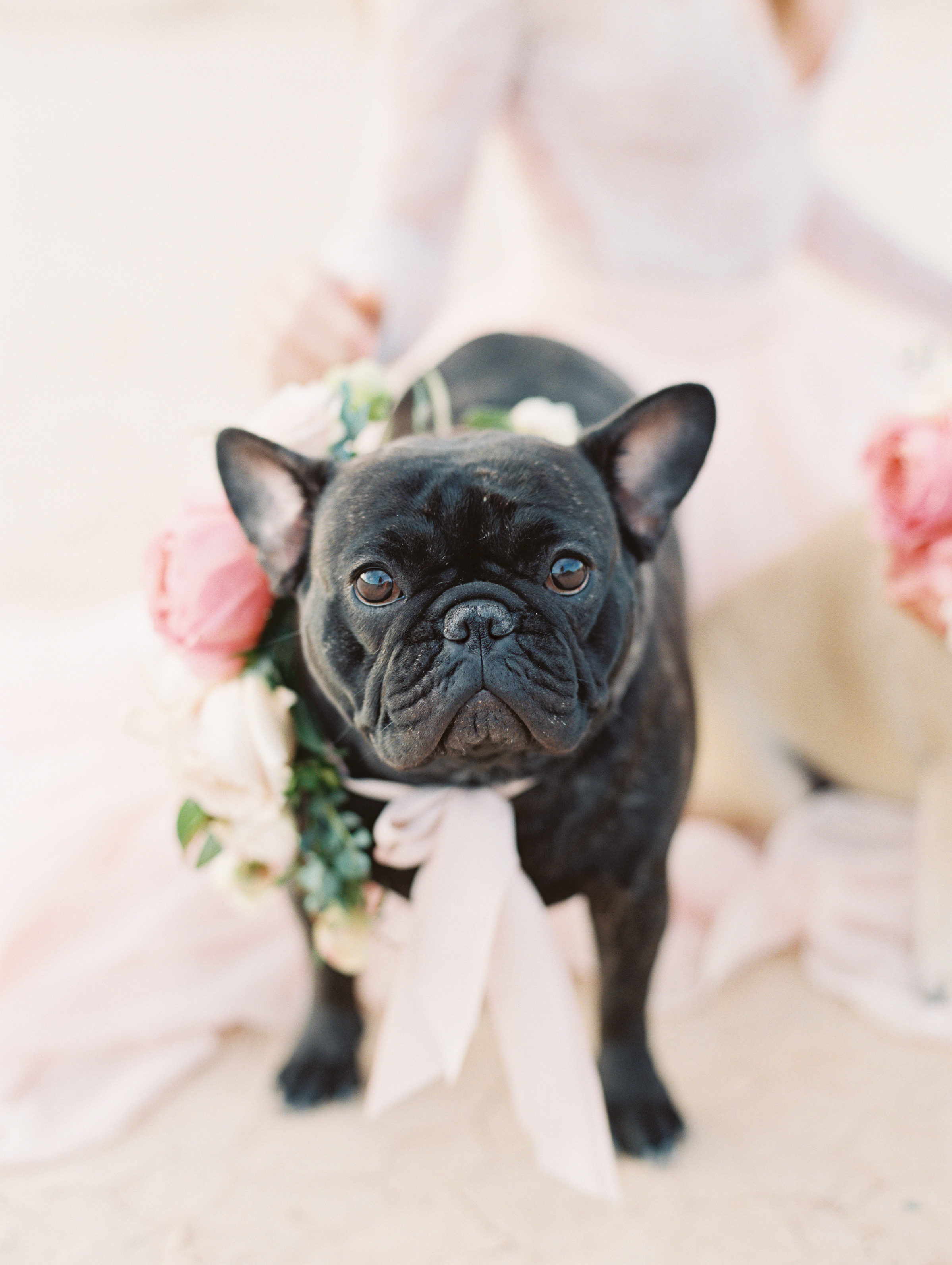 Desert Wedding Inspiration | Allen Tsai Photography | Joy Wed blog | http://www.joy-wed.com