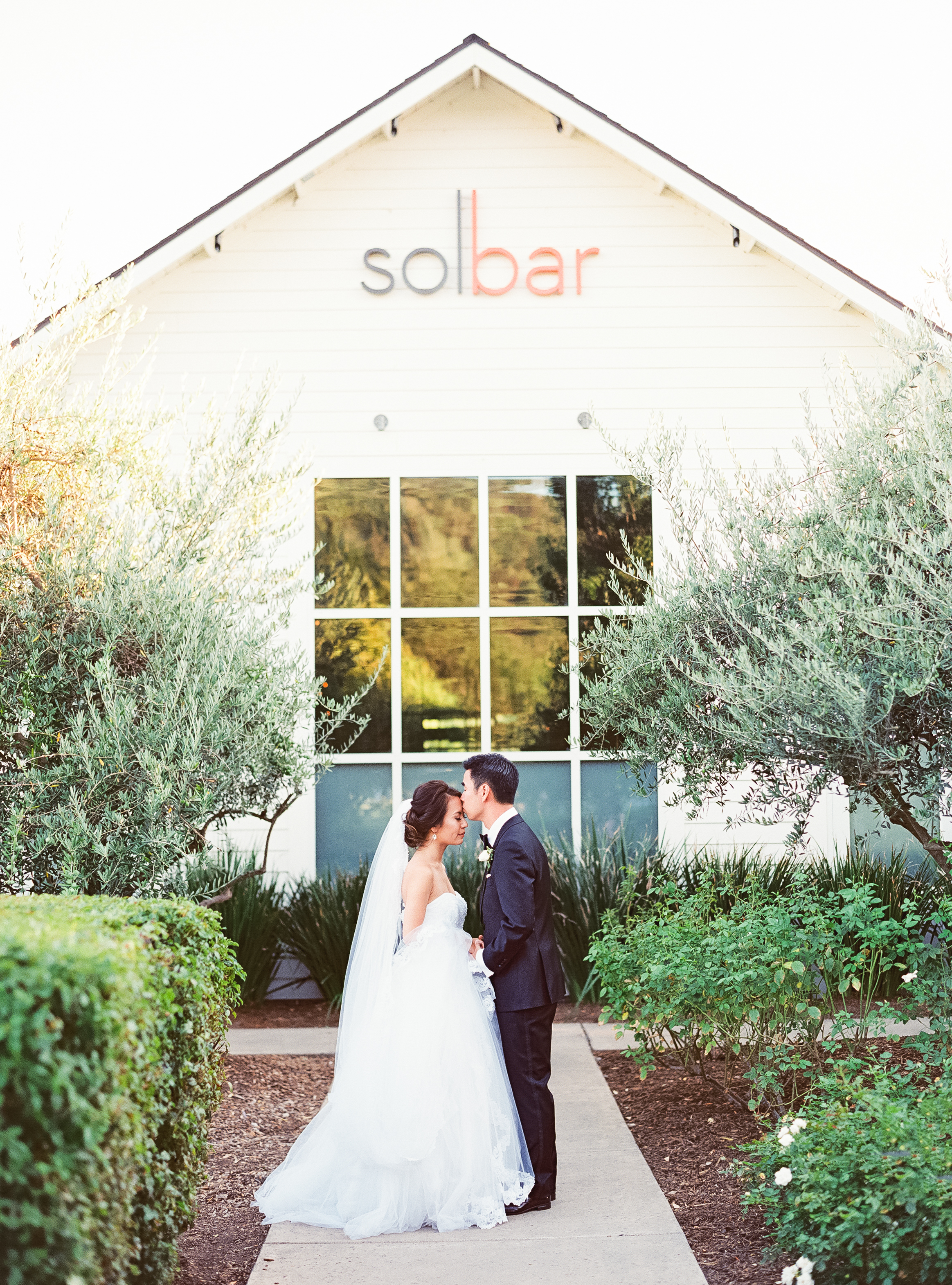 Napa Valley Wedding | Michele Beckwith | Chinese Wedding | Vineyard Wedding | Fine Art Wedding Blog | Joy Wed | Canadian Wedding Blog