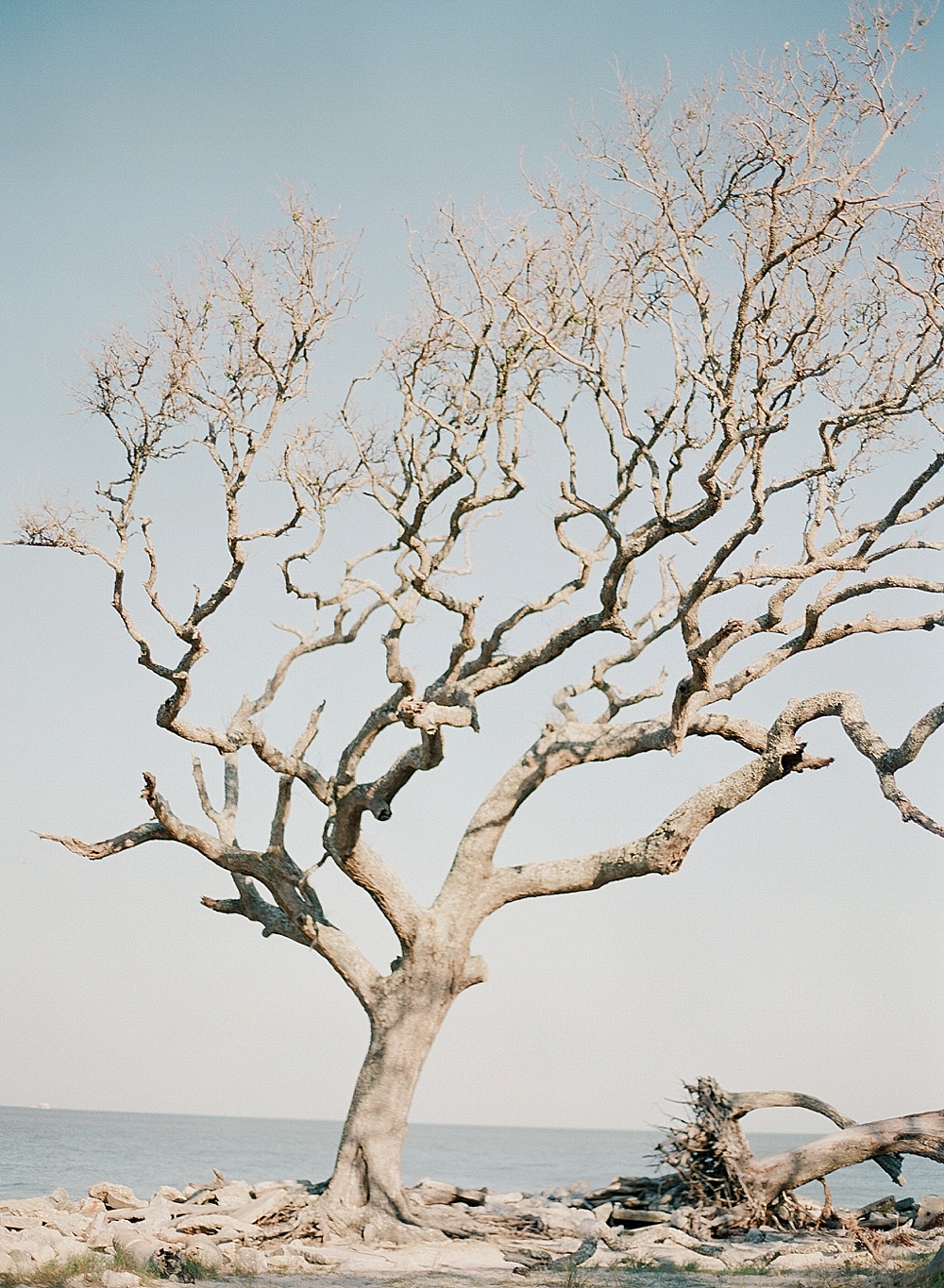 Driftwood Beach Elopement | Beach Wedding | Beach Wedding Inspiration | Amanda Watson Workshop | Magnolia Adams Photography | Joy Wed | Fine Art Wedding Blog