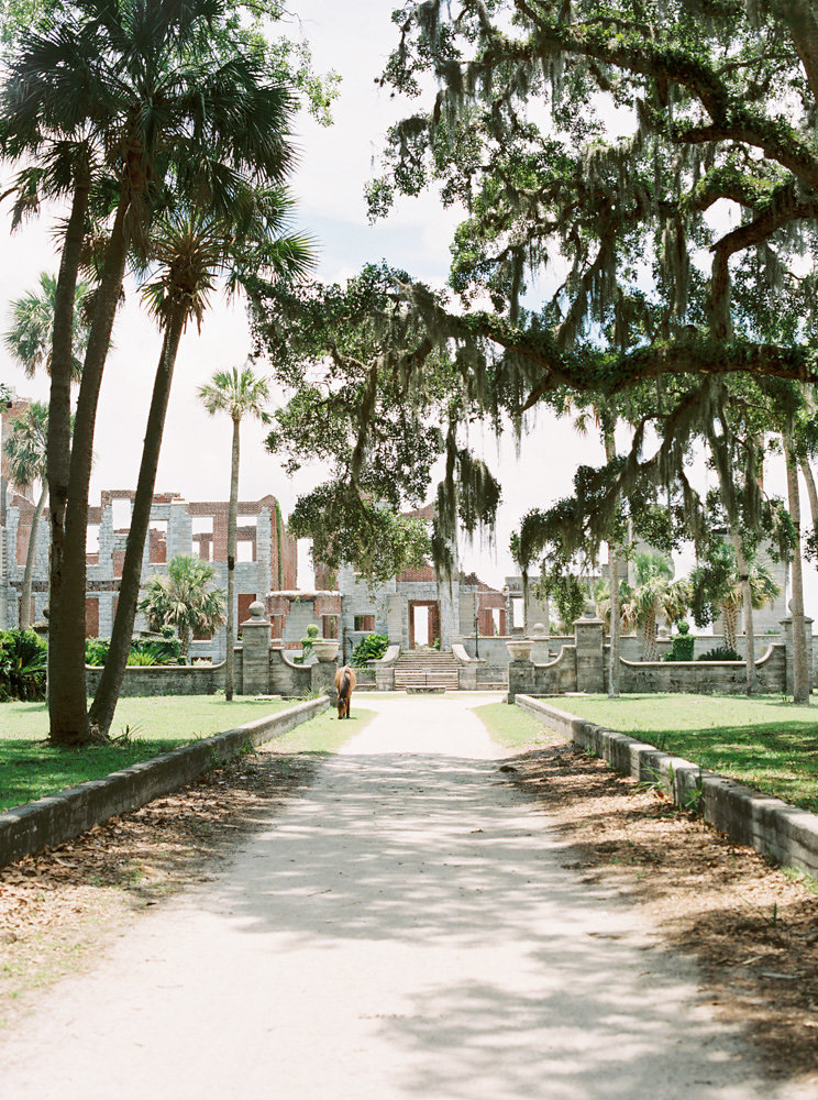 Cumberland Island Wedding | Dungeness Ruins Wedding | Kenzie Packrall Photography | Summer Wedding | Organic Wedding | Fine Art Wedding Blog | Joy Wed