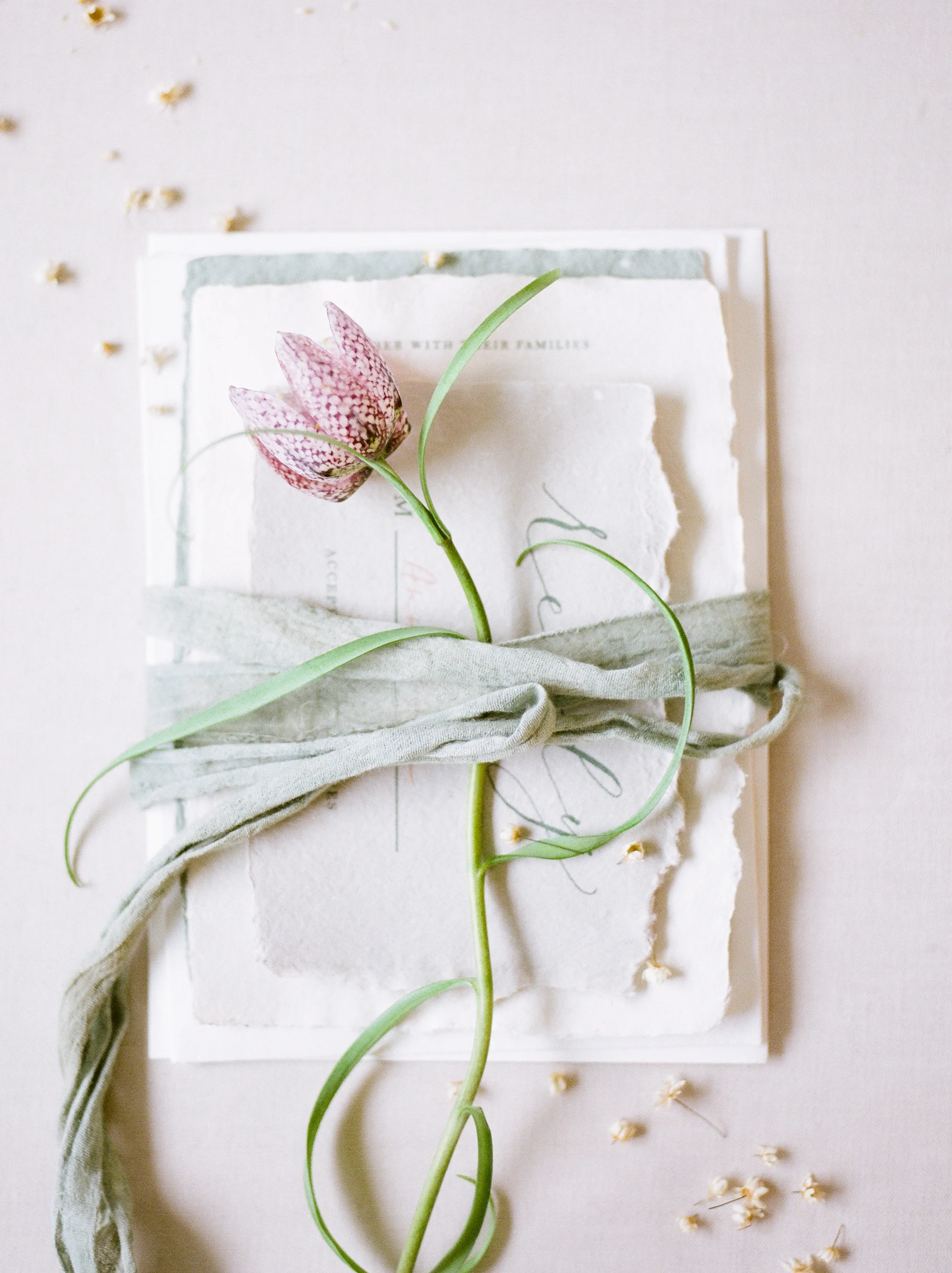 Organic Wedding Inspiration | Fall Wedding Inspiration | Canadian Wedding Blog | Red Fern Photography | Wedding Inspiration | Fine Art Wedding Blog | Kari Ellen Events