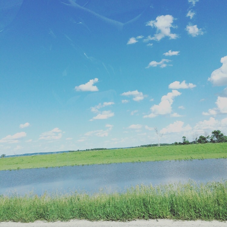 bright green and blue for miles 