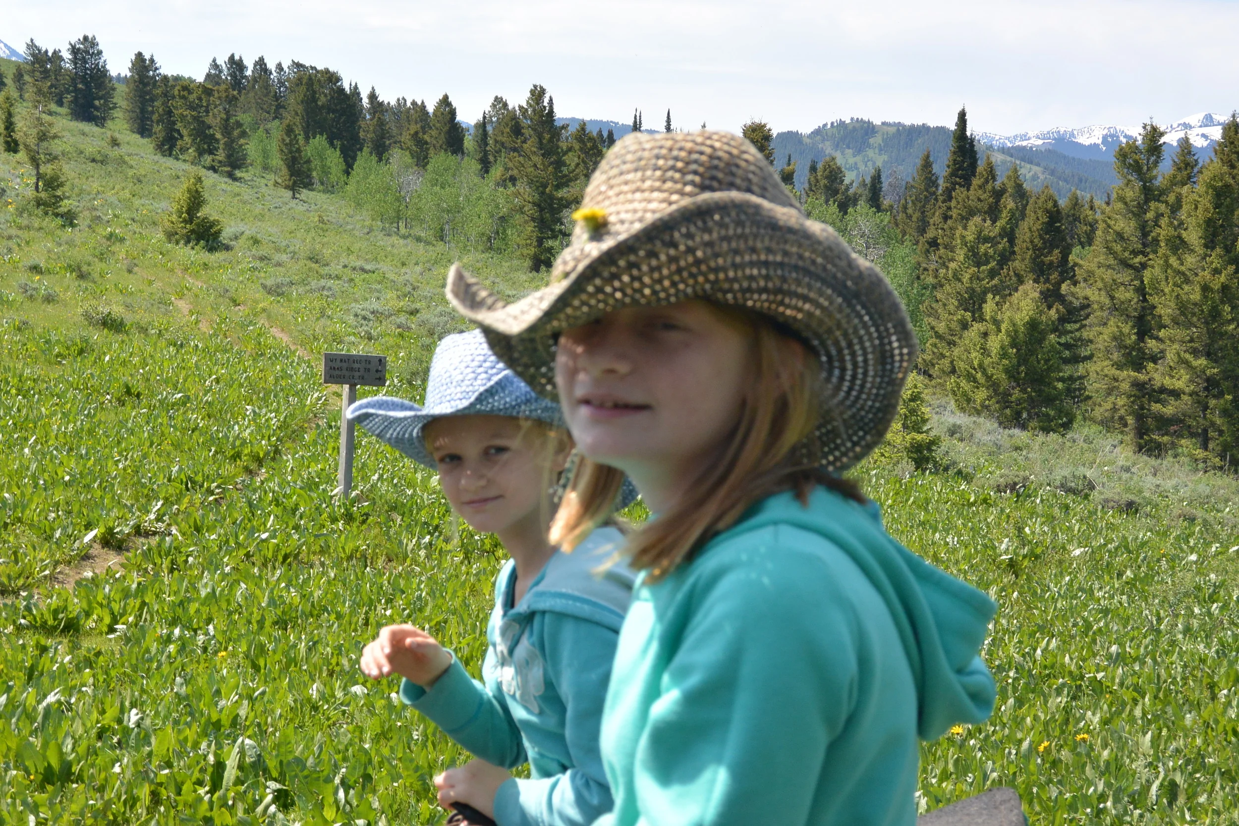 Horseback riding in Jackson Hole, WY