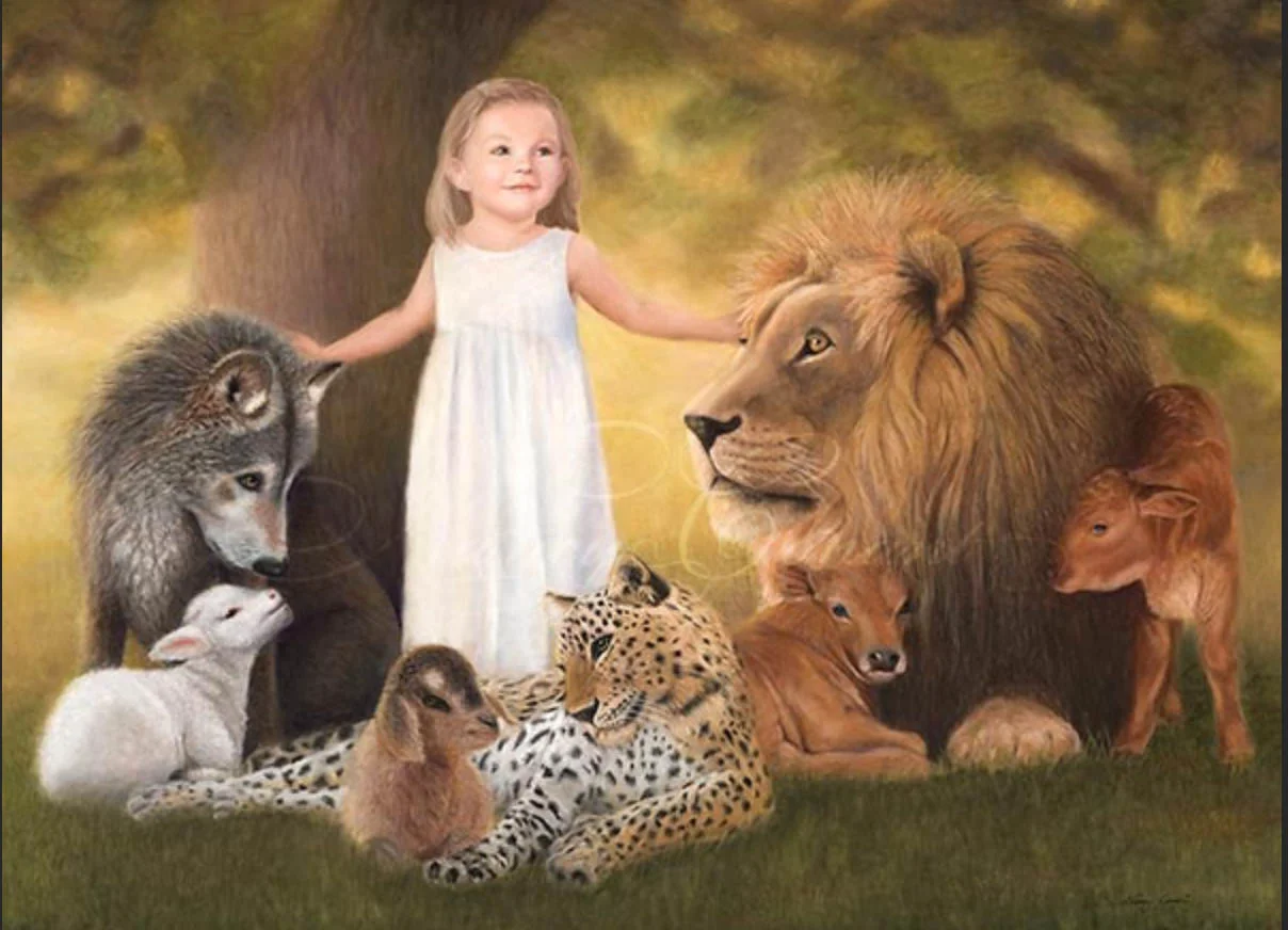 Artwork by Nancy Conant @ nancyconant.com