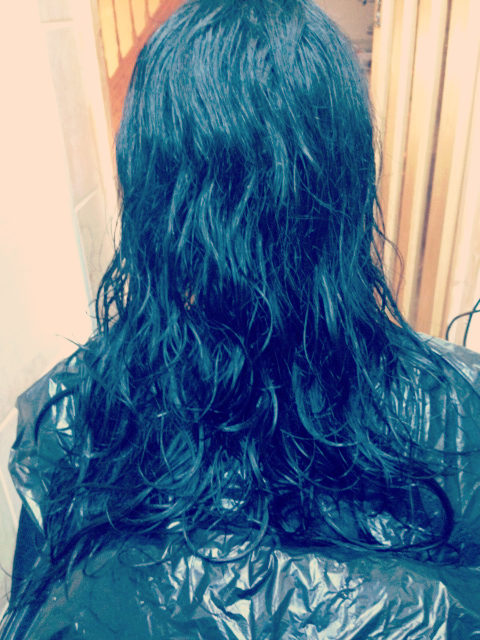 Brazilian Blow Dry - Before