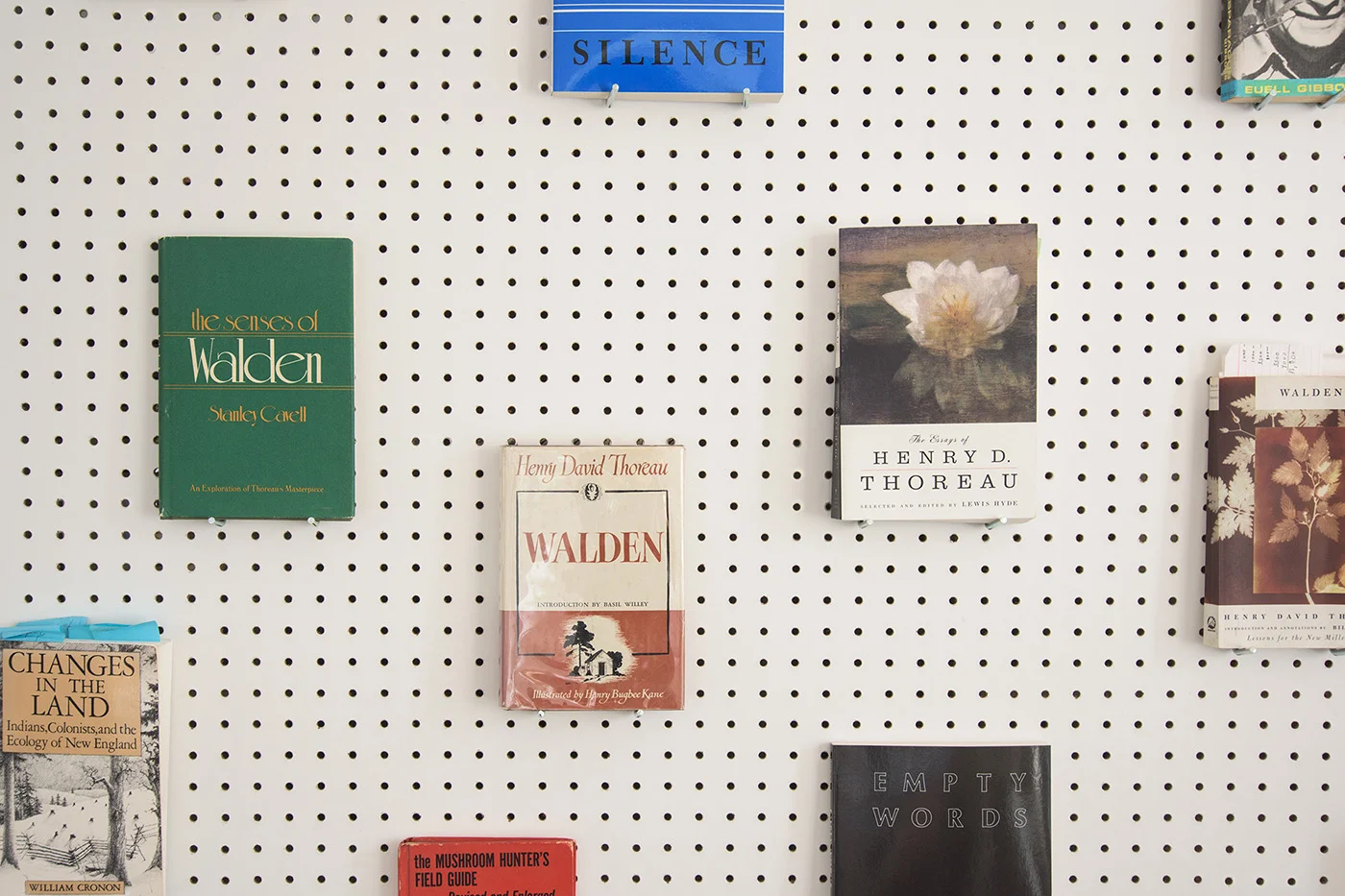 Exhibition library (detail)