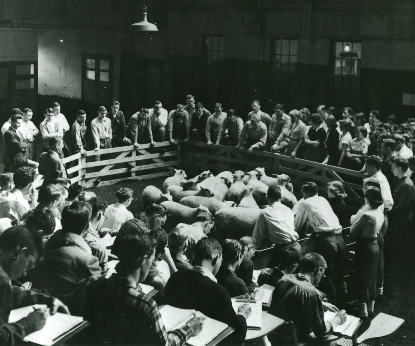 OSU animal sciences classroom , circa 1963