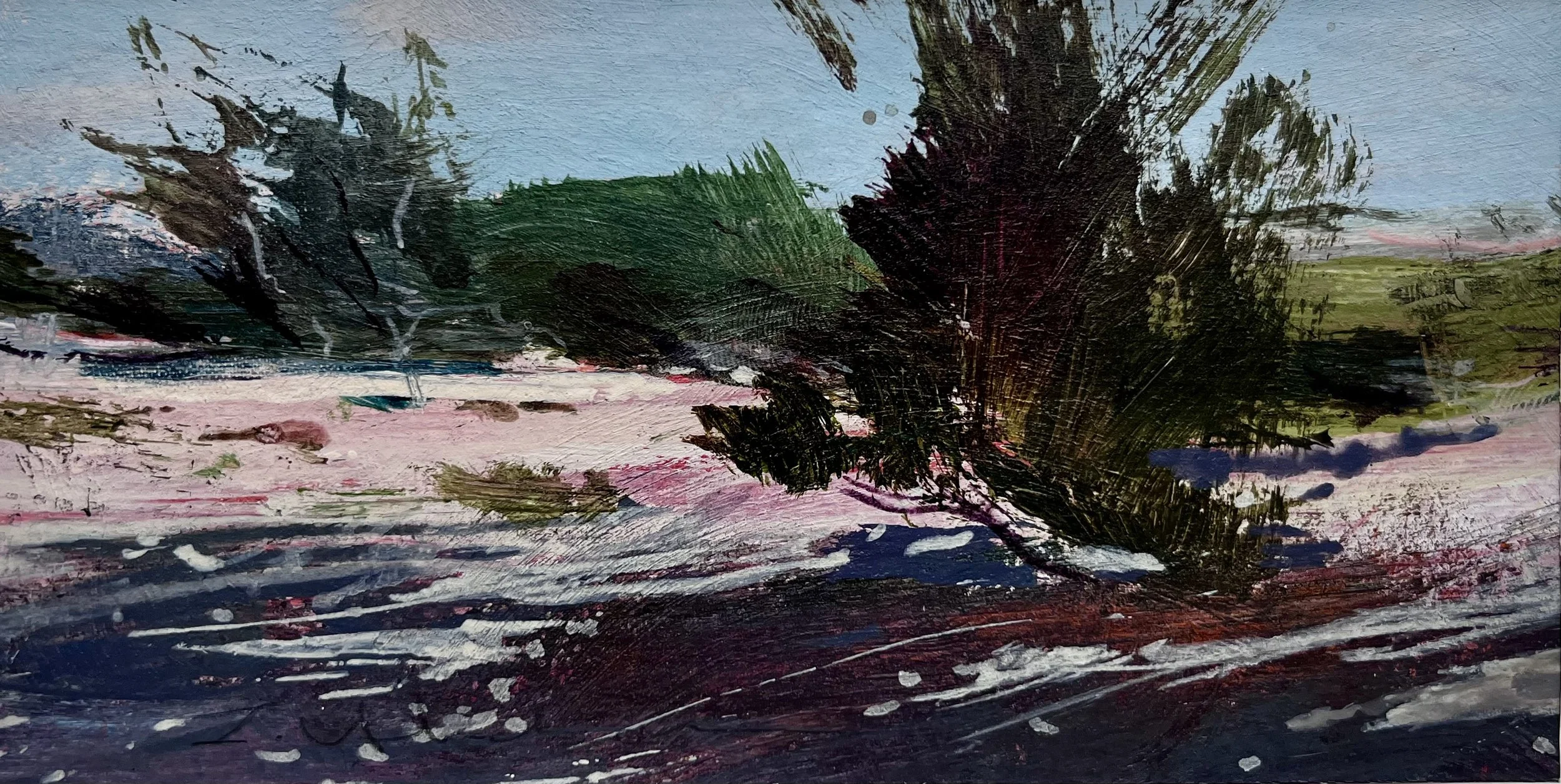 IMG_3404.jpeg