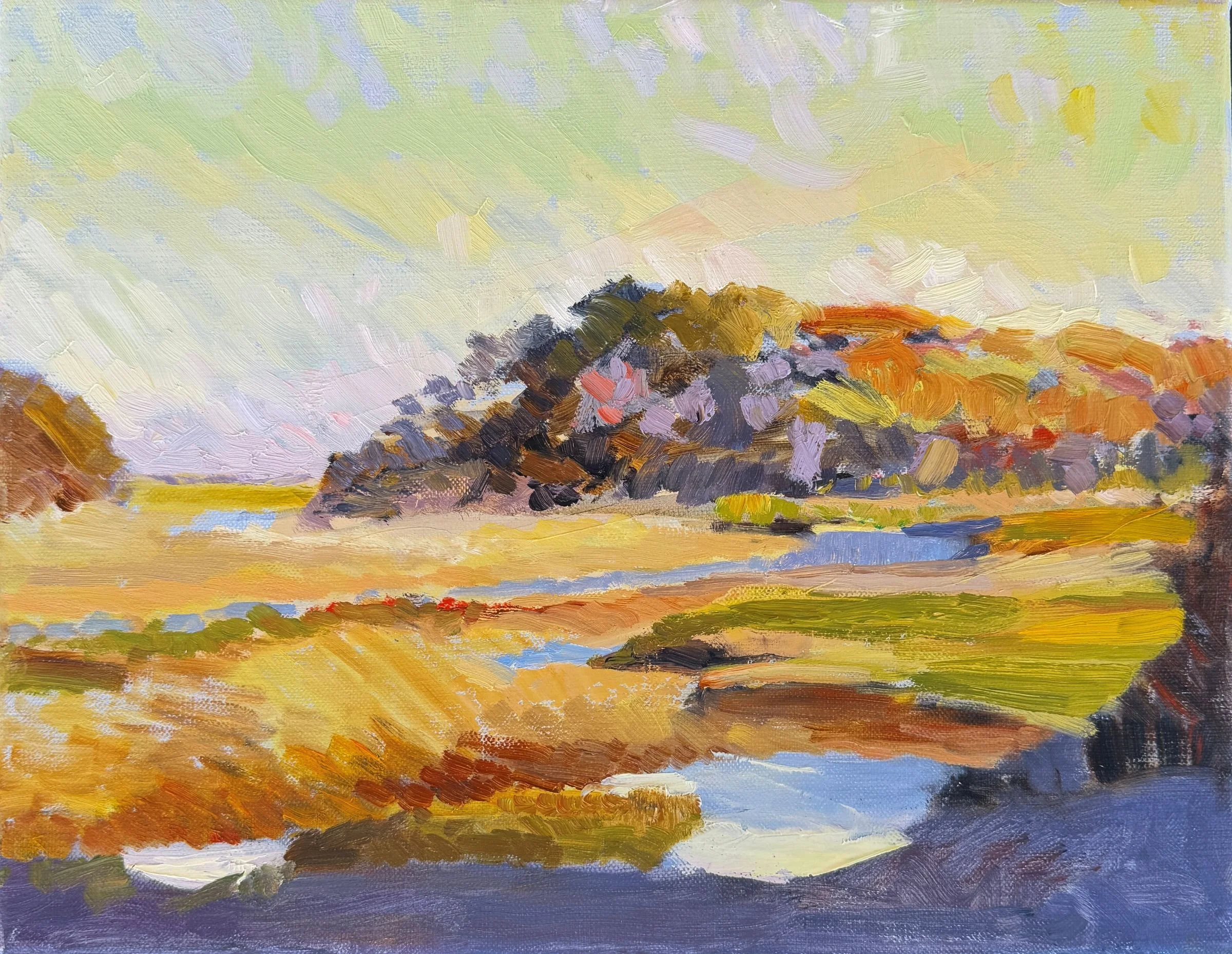 gold-marsh-no4-valerie-isaacs.JPG