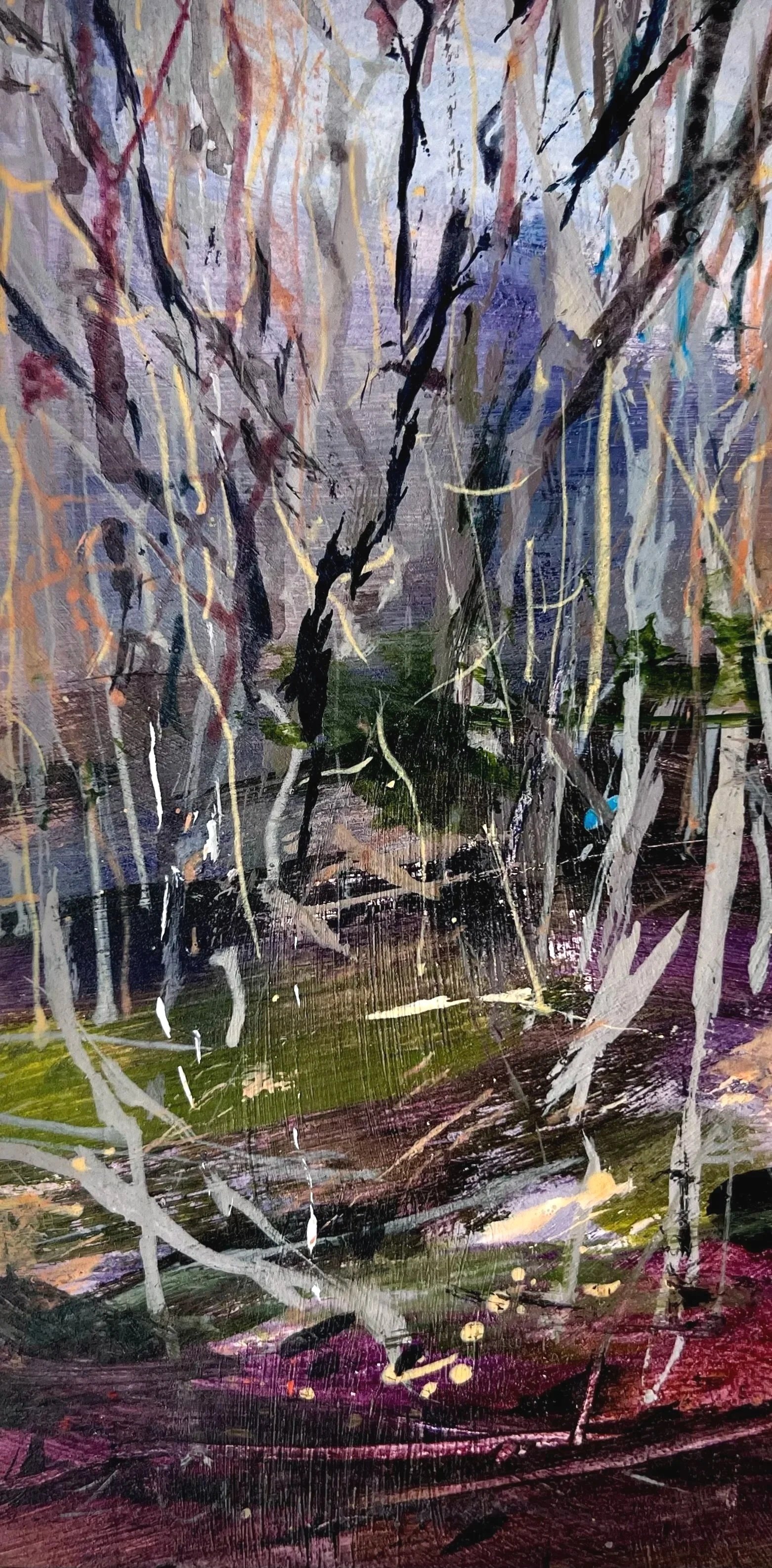 Beech Forrest