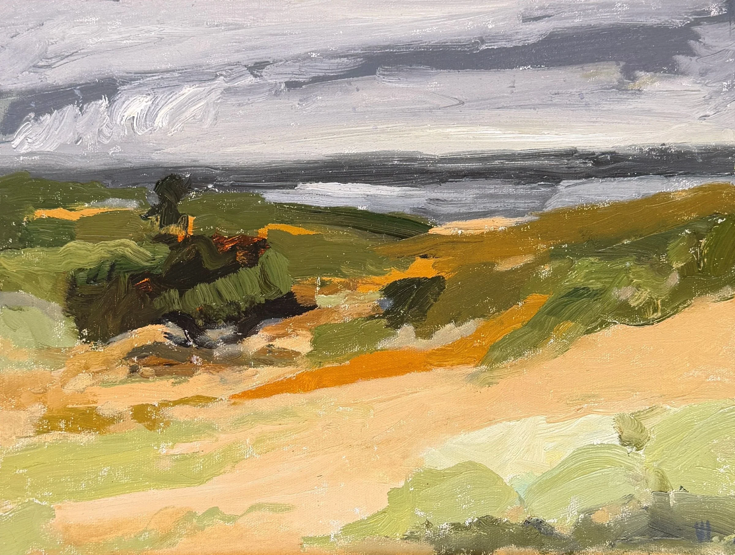the-first-dune-painting-with-raindrops-valerie-isaacs.JPG