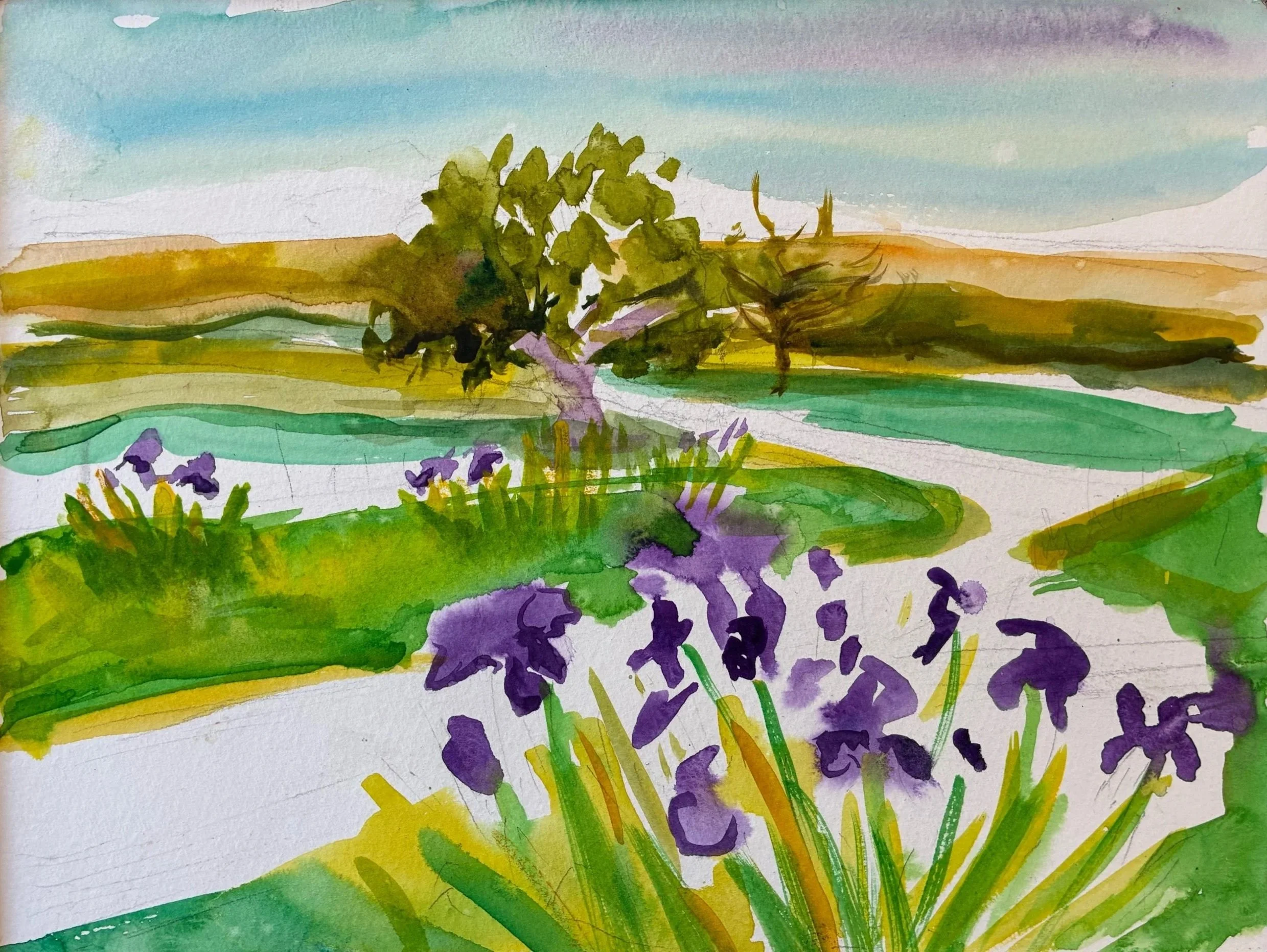 Italian Iris - Rain Coming