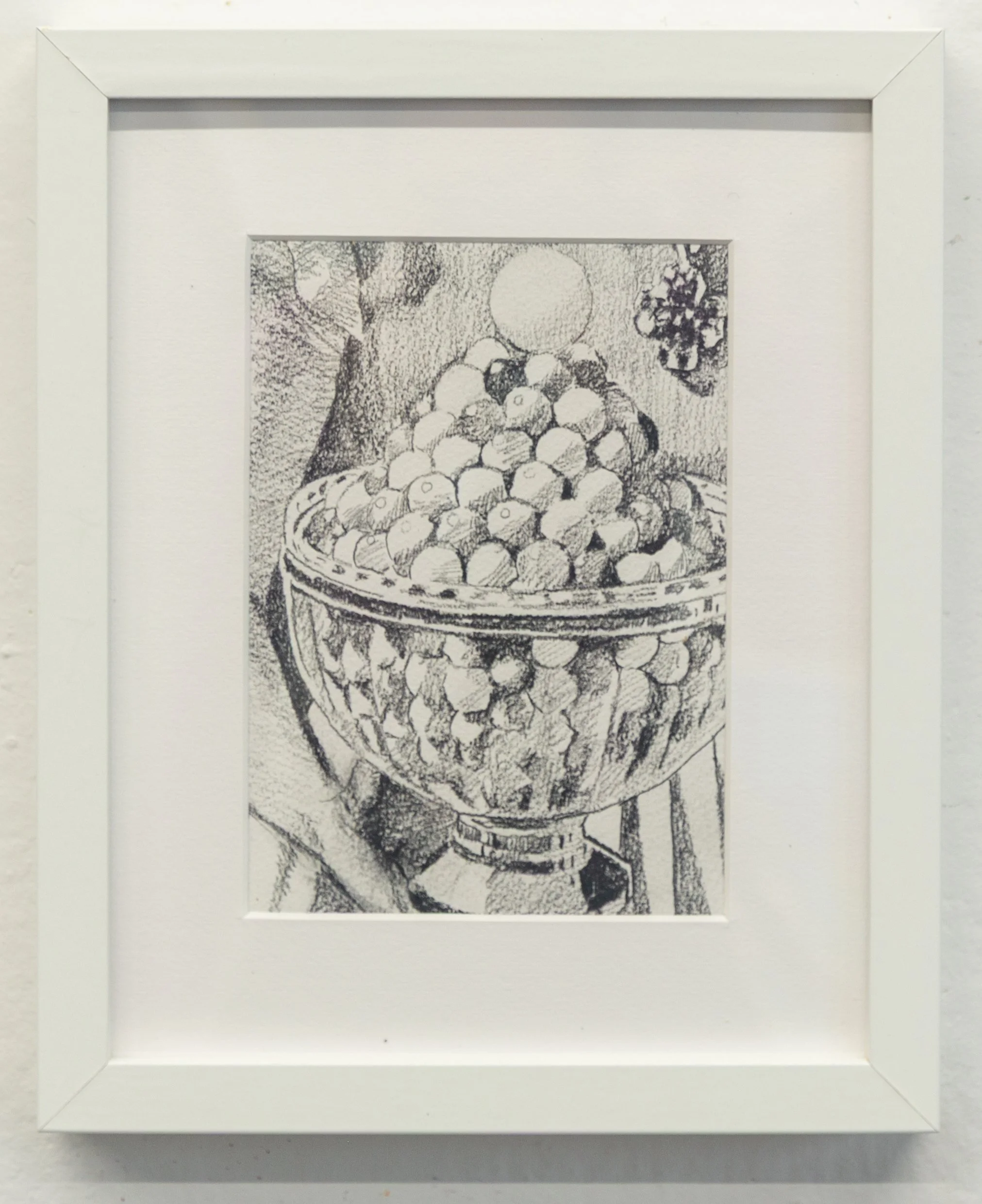 Cornucopia of Delights