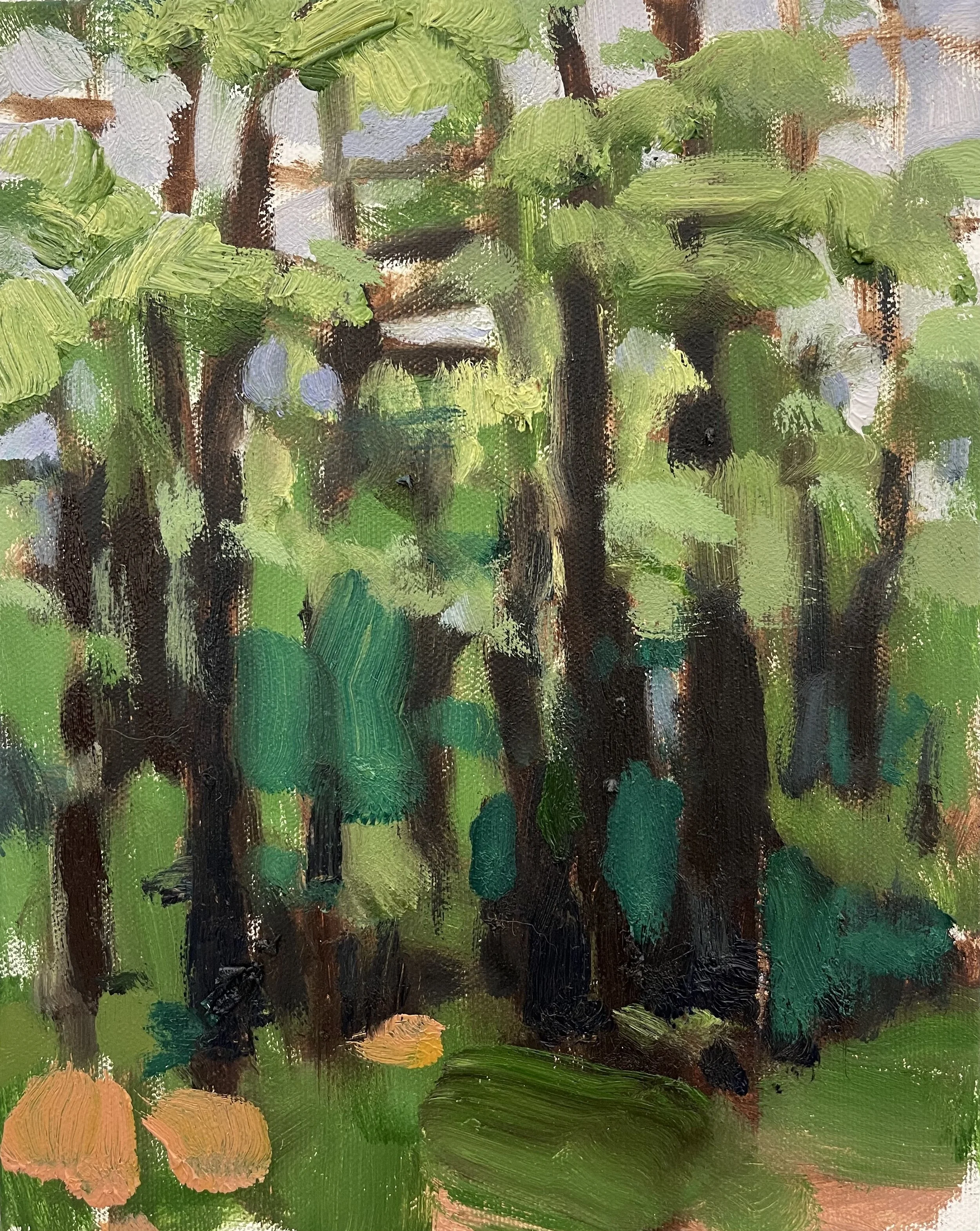 Beech Forest Summer.jpeg