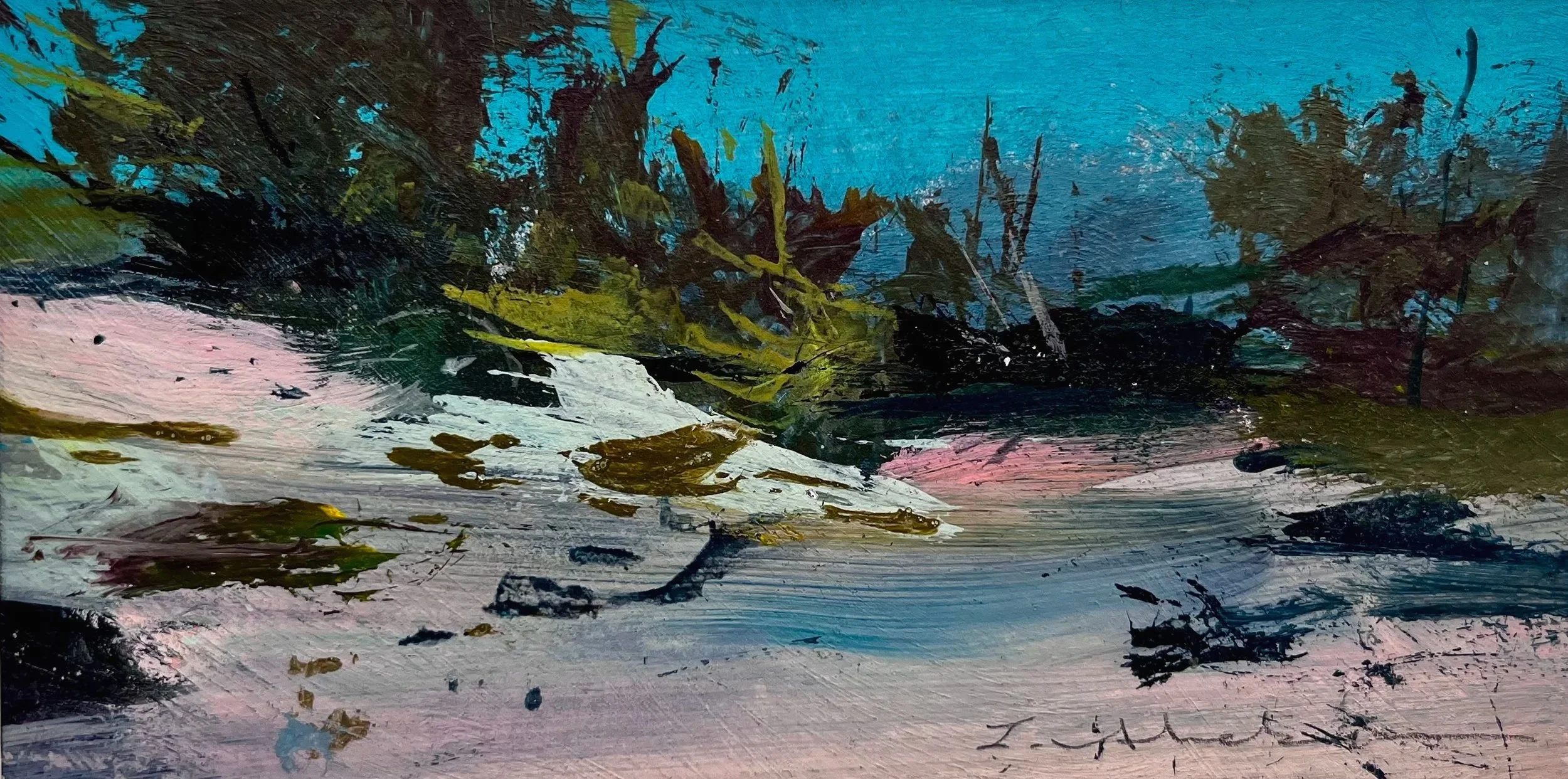Scrubland, Provincetown