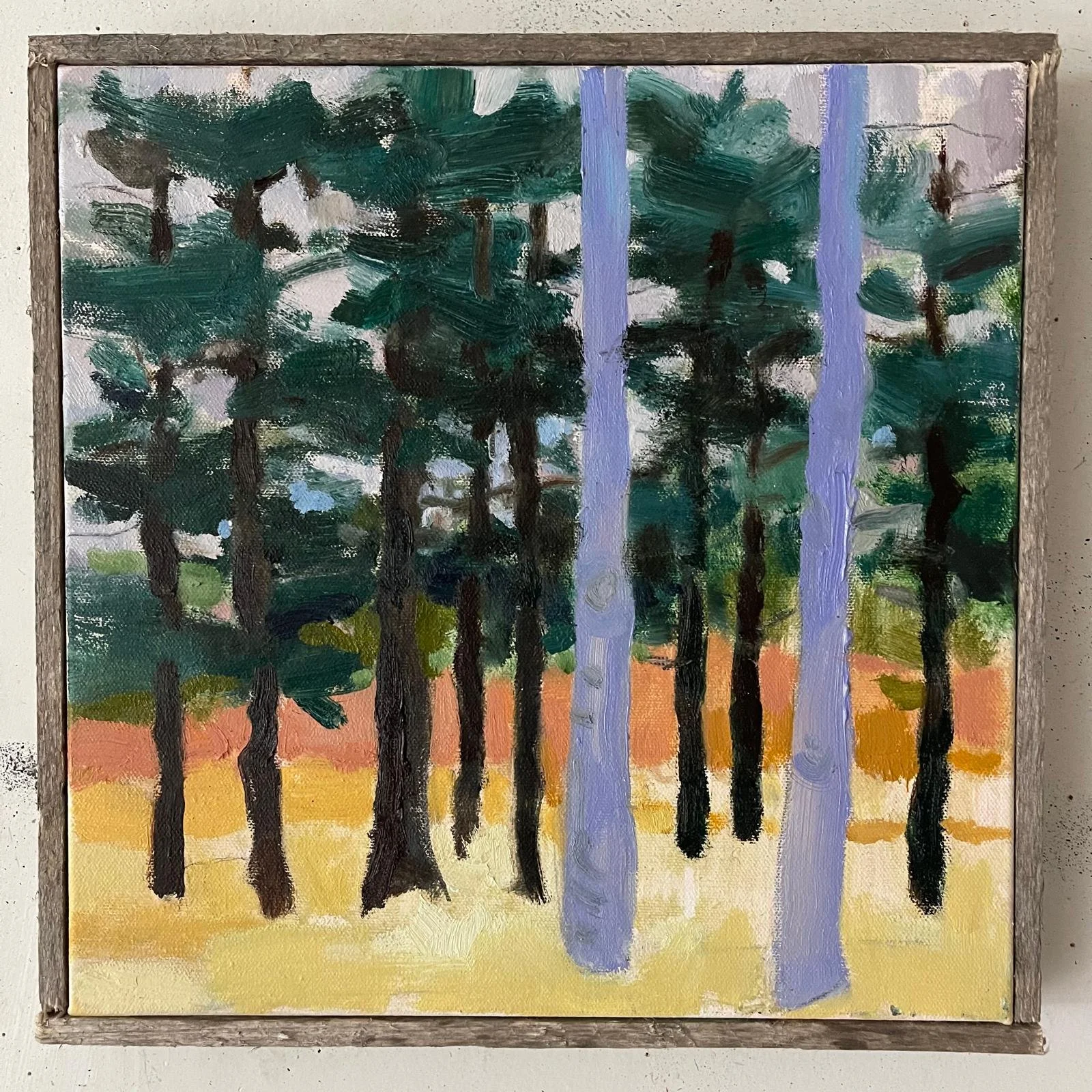 Where the bobcat was 2.jpg