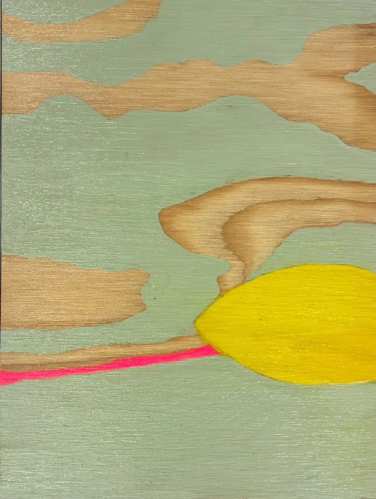 Slayter - Yellow Kayak at Dawn Bay Beach.webp