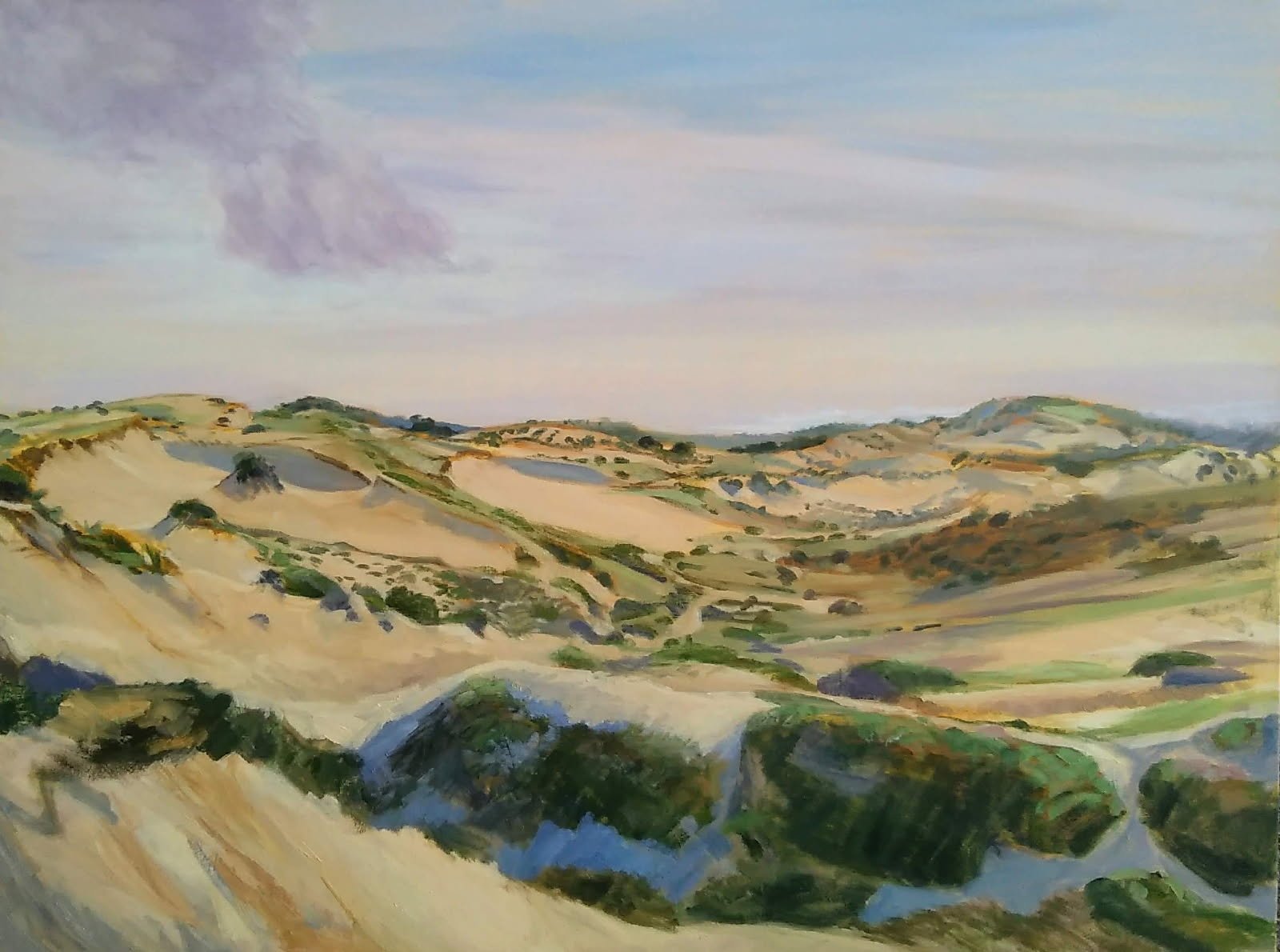 View From The Dune Shack