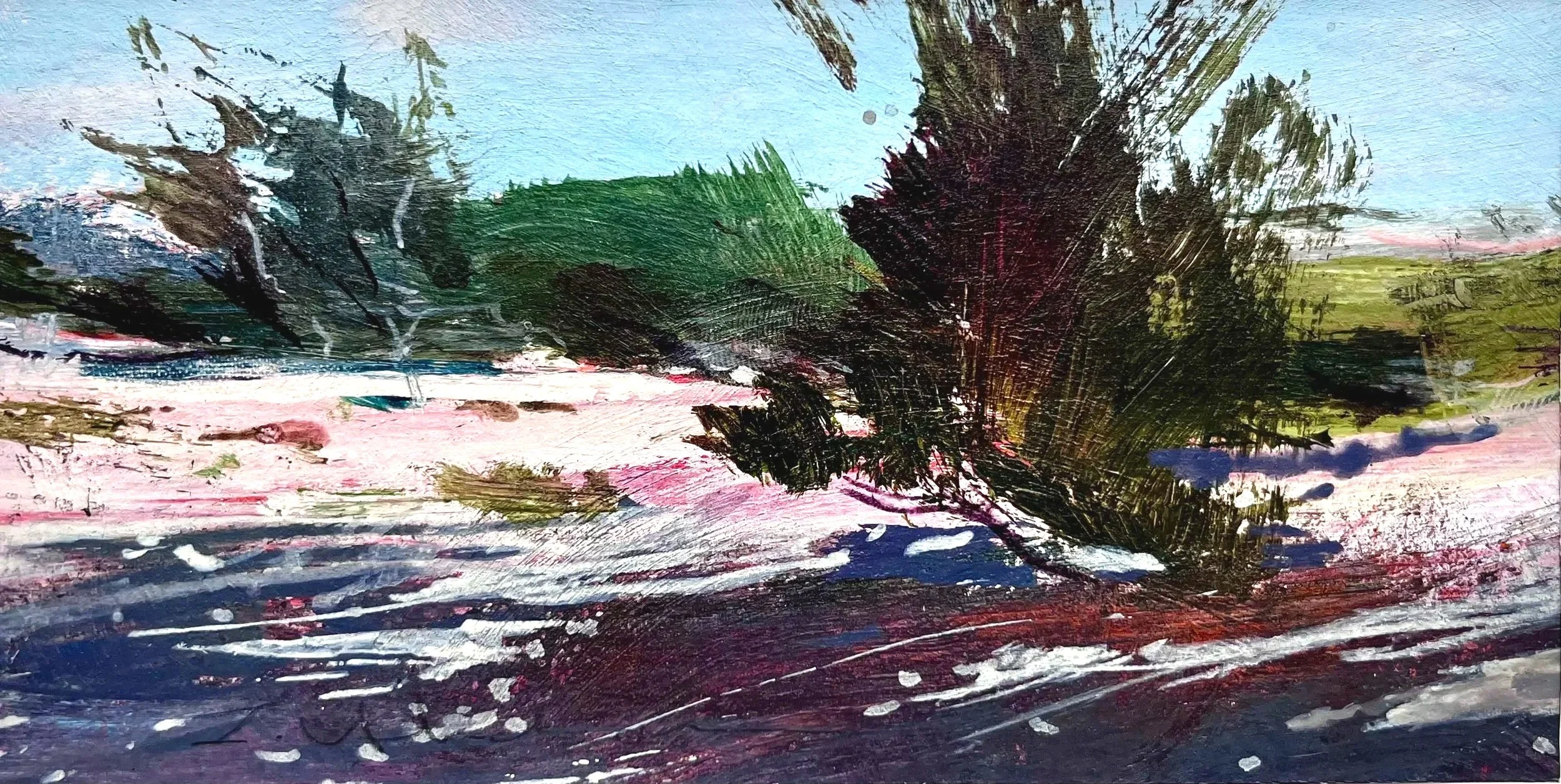 Stunted Pines no. 2