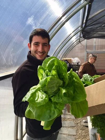Aquaponic Lettuce is in the House At Dock Street Right Meow