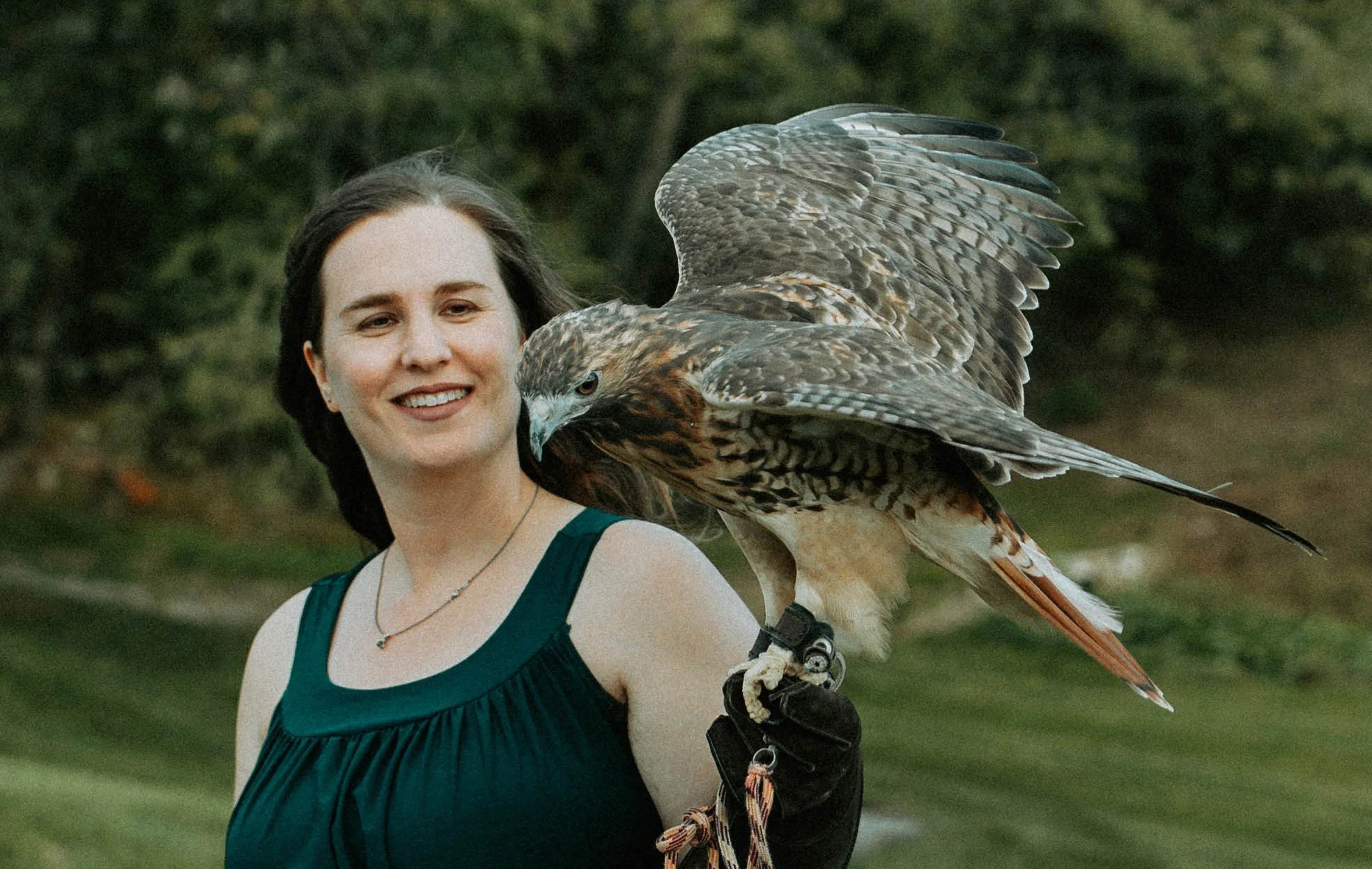 raptor jawn owl hawk.jpg