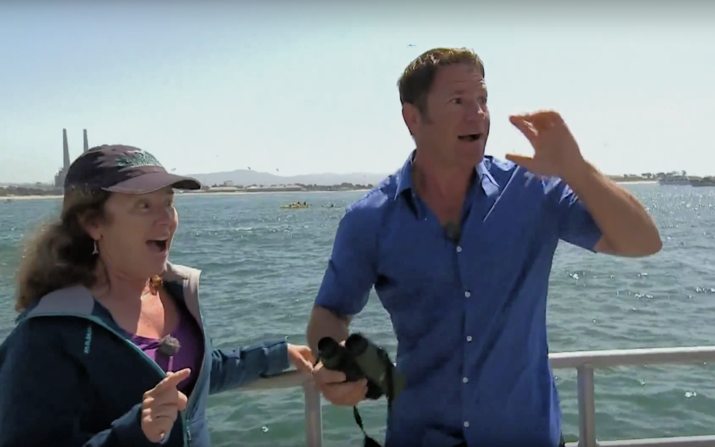 Steve&#x27;s live interview interrupted by a blue whale!